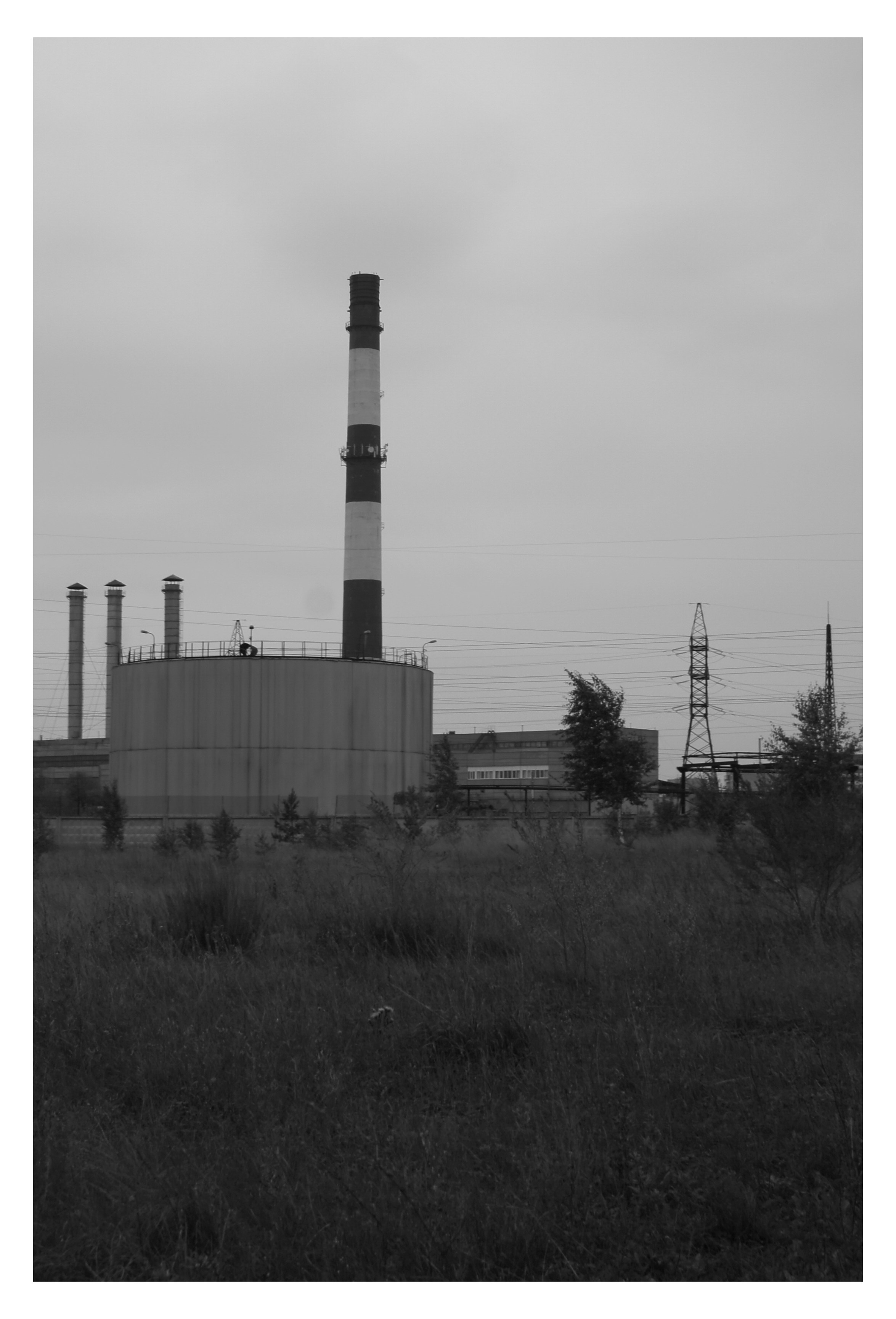 CHELYABINSK. Photographer Manakova Olga