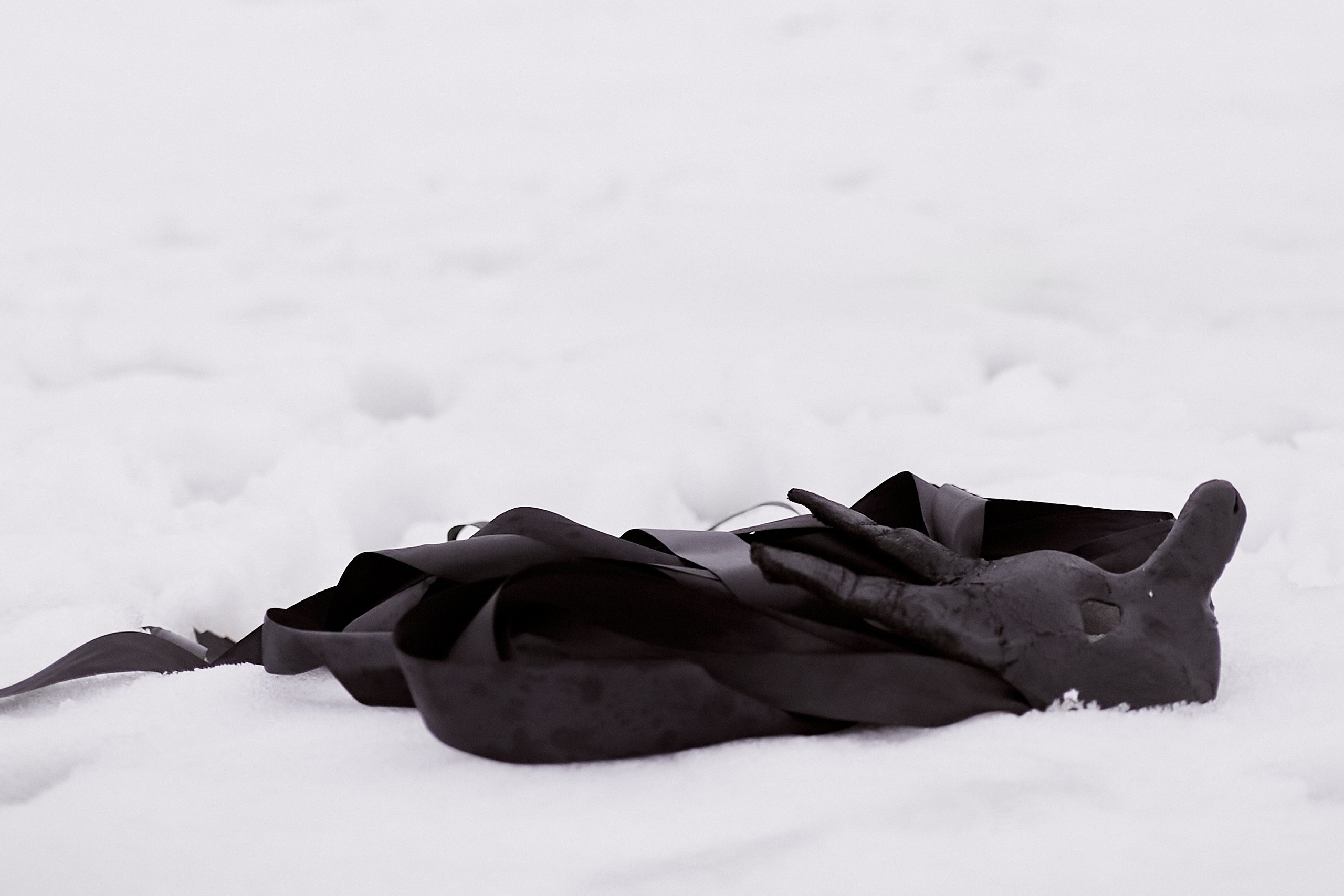 «Снежная волчица». Свадебный и креативный фотограф в ЮФО