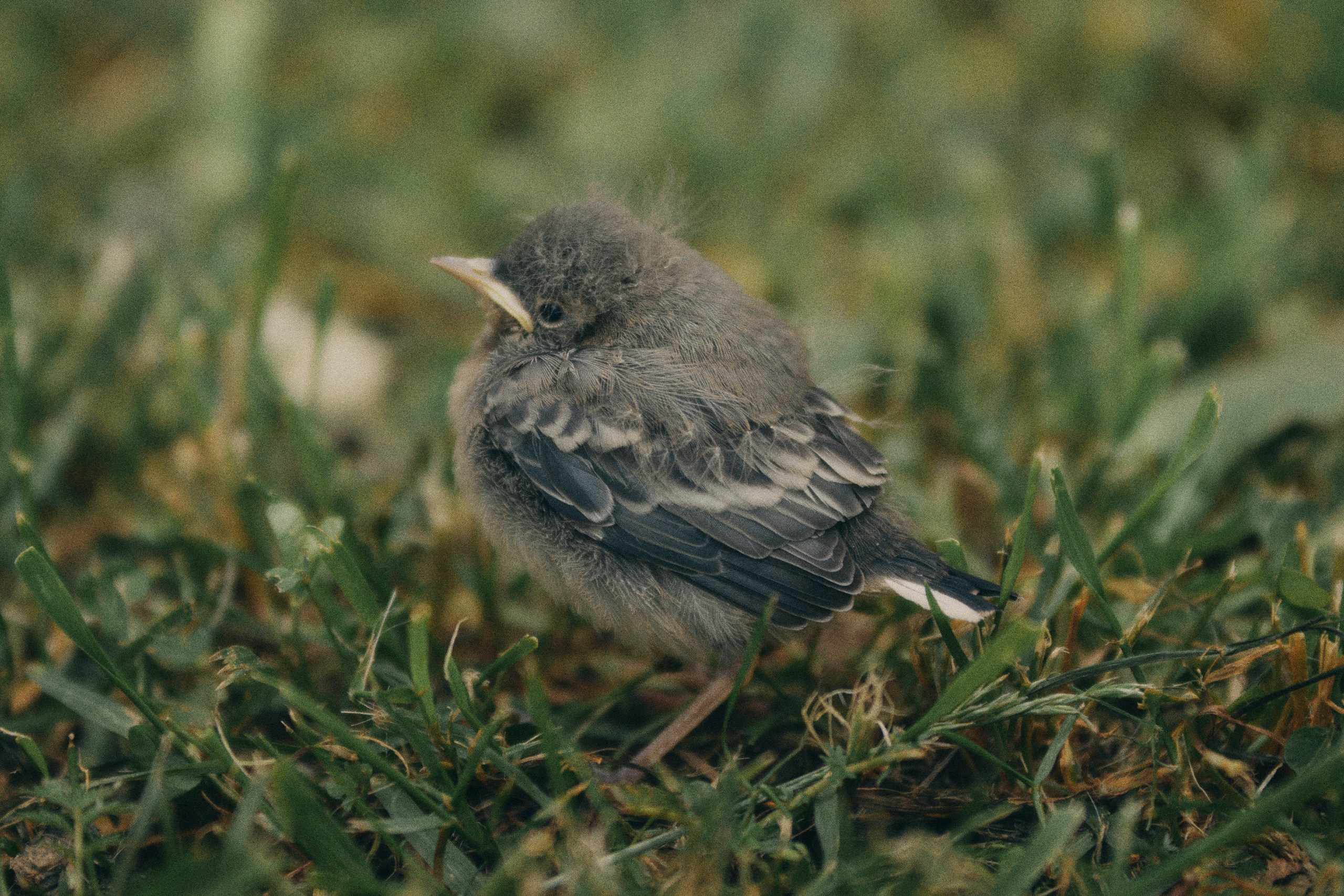Музыкальная экспедиция в Знаменское-раёк 2025