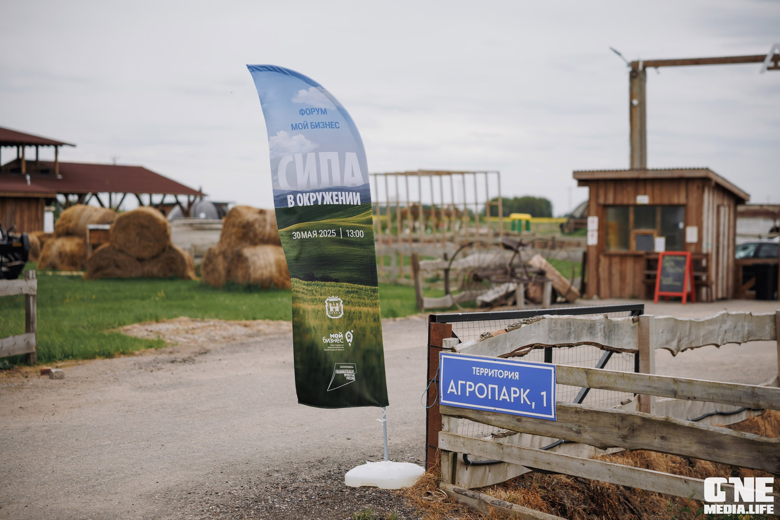 Фоторепортаж с форума «Мой бизнес. Сила в окружении». One Media Life: фоторепортажи, фотоотчеты с мероприятий и заведений