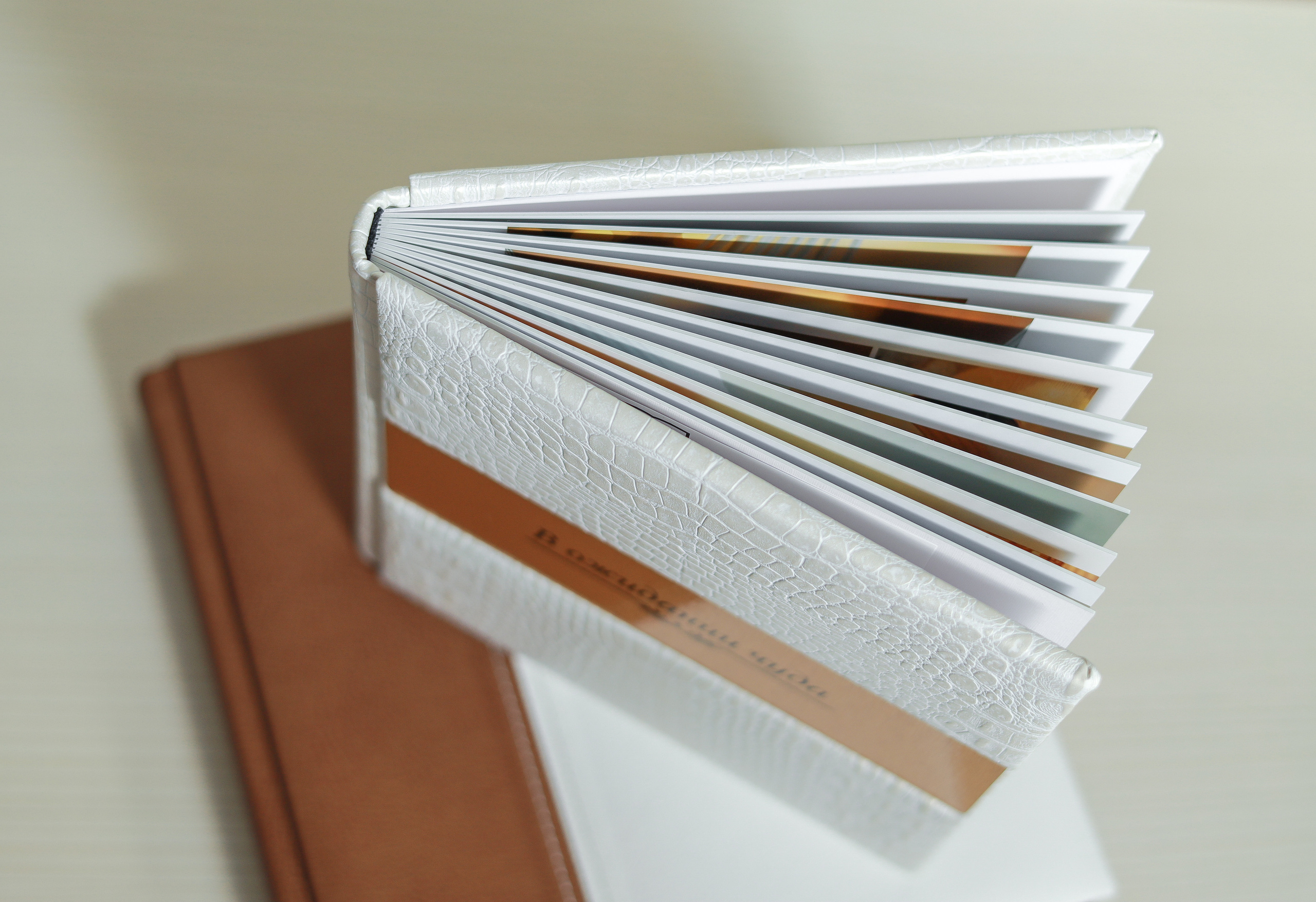 Стоимость и условия работы. Семейный и женский фотограф в Москве и Подольске Анна Корн