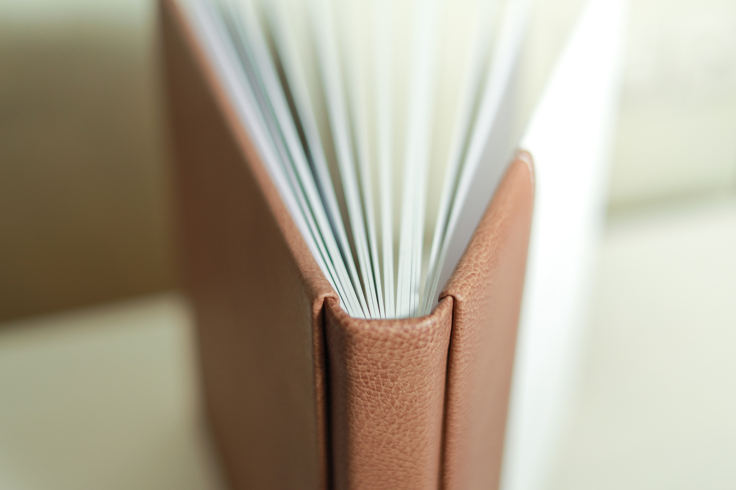 Стоимость и условия работы. Семейный и женский фотограф в Москве и Подольске Анна Корн