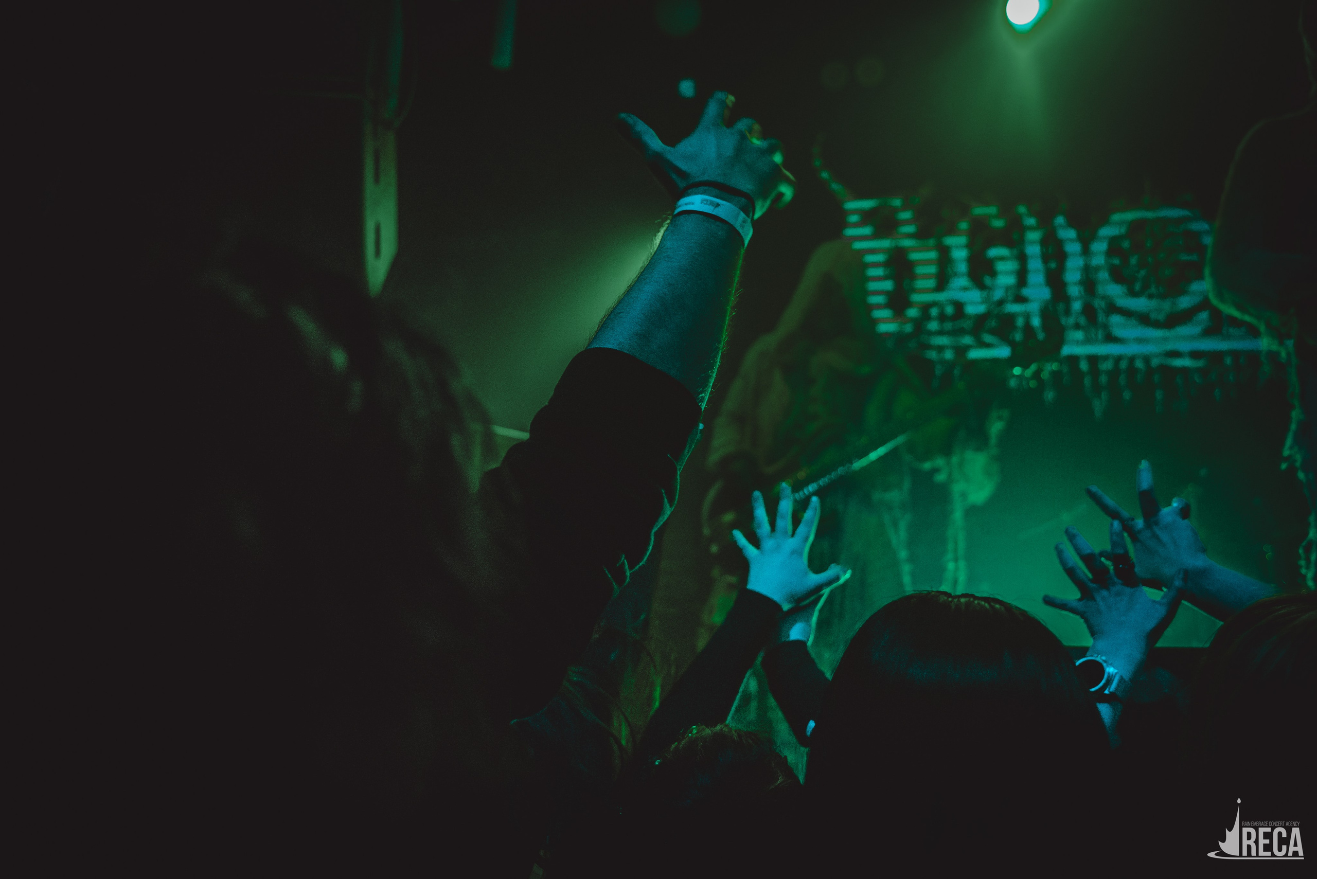 Vspolokh. Kate Vader|Live Music Photography