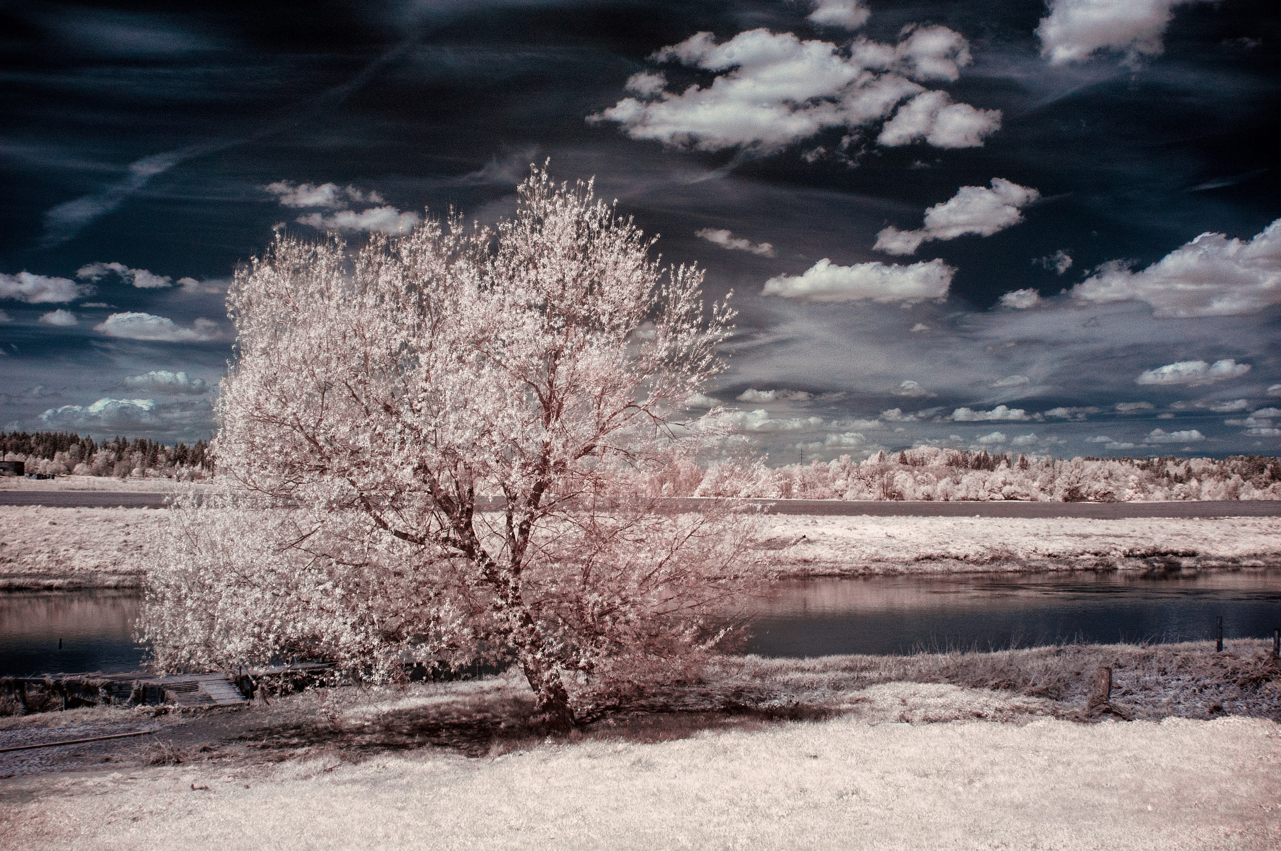 Infrared Photography. Solofilms