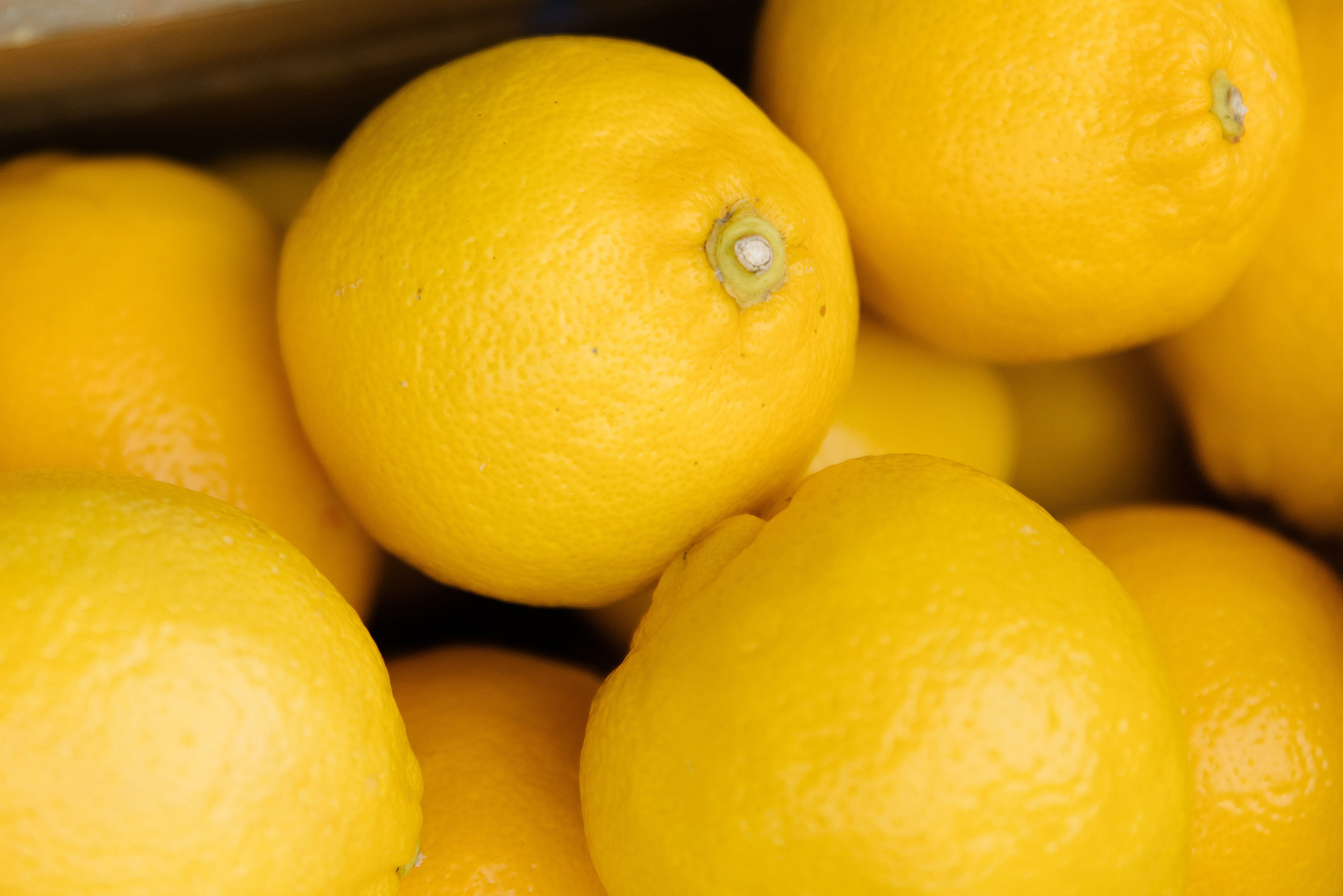 P&M. Пушистая Сова - Свадебный и портретный фотограф Воронеж, Москва, Питер