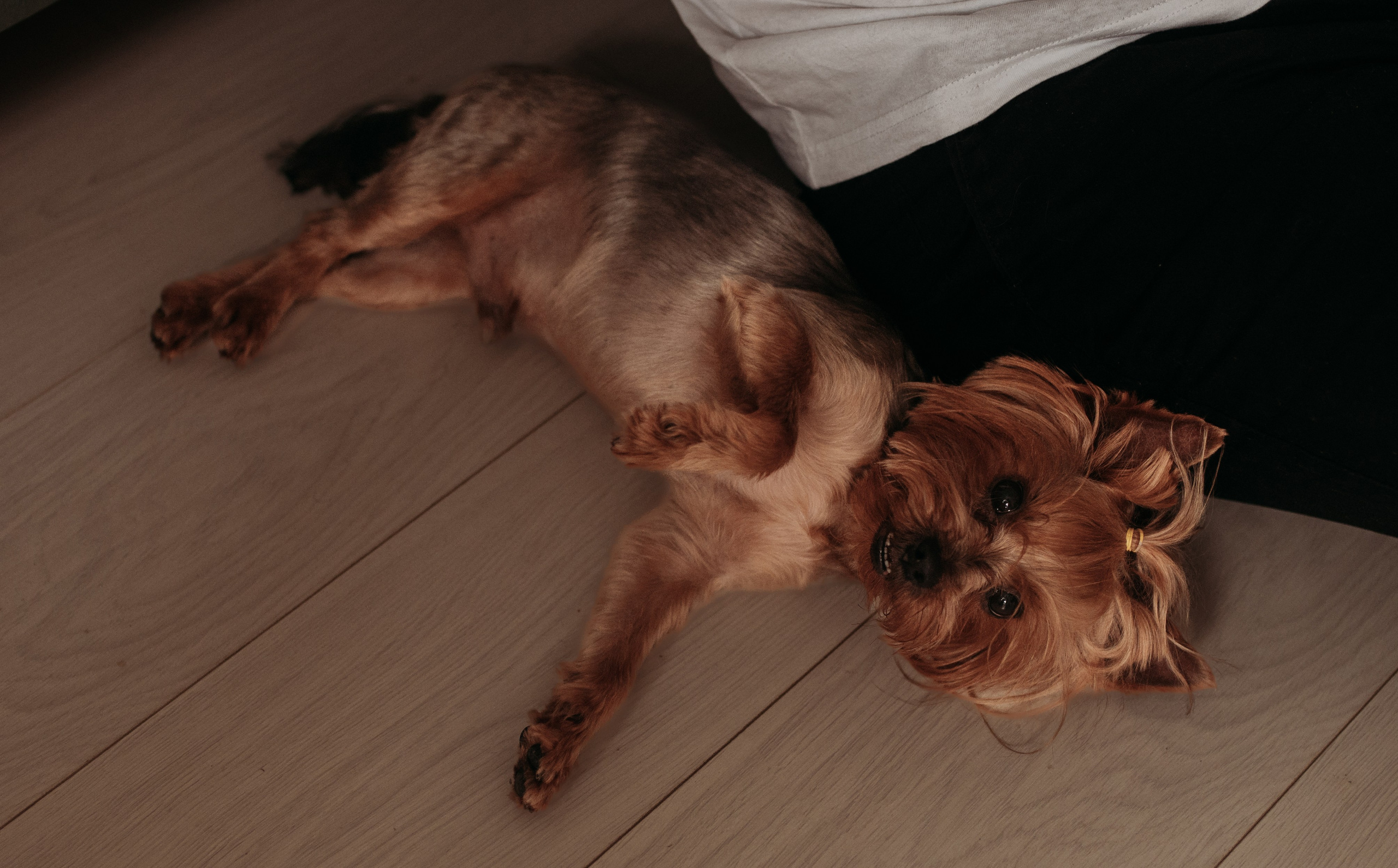 Домашняя история. Семейный фотограф Олеся Батурина Рязань