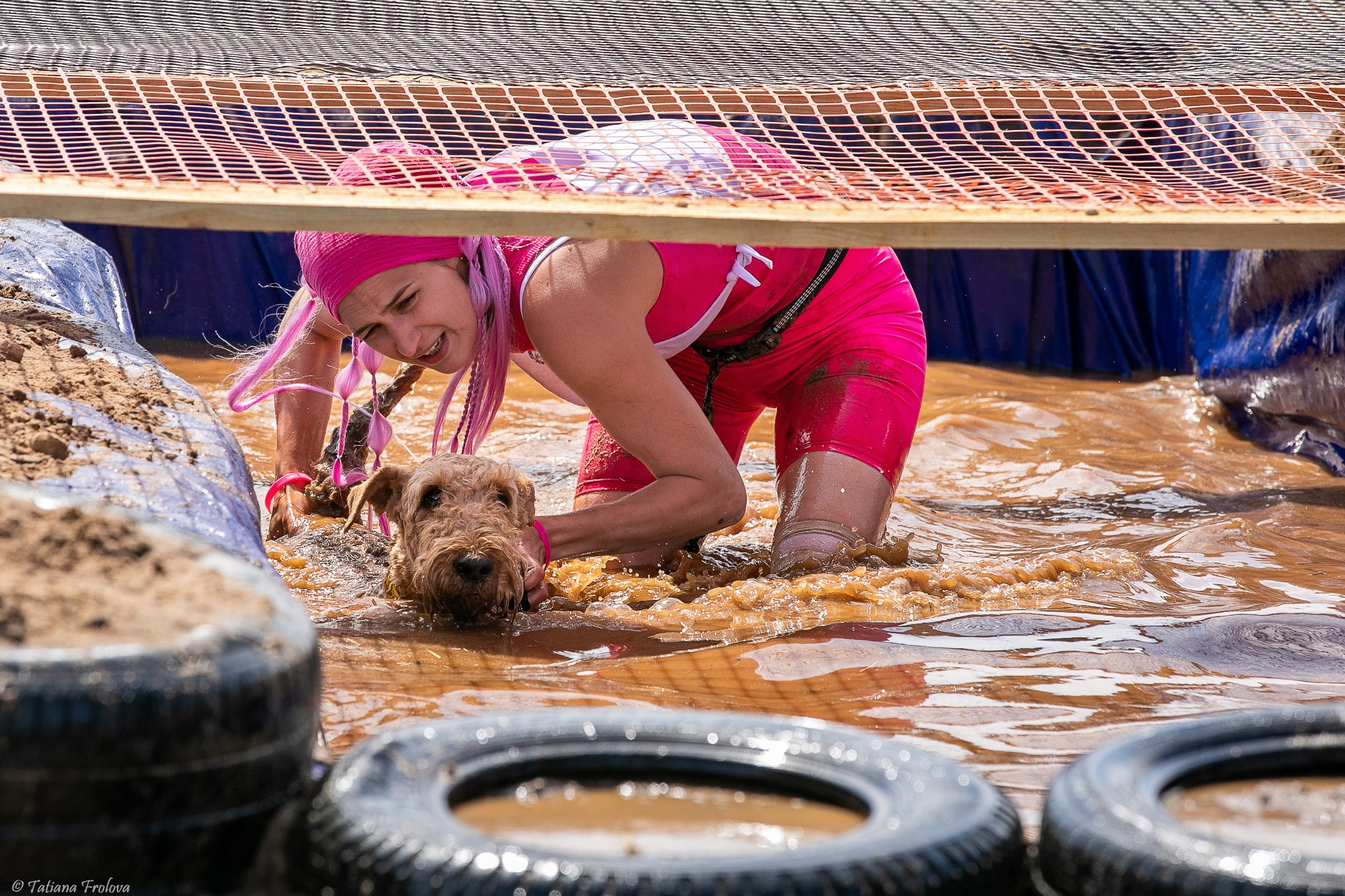 Фоторепортаж с забега с собаками. Фотограф-анималист в Москве и Московской области Татьяна Фролова
