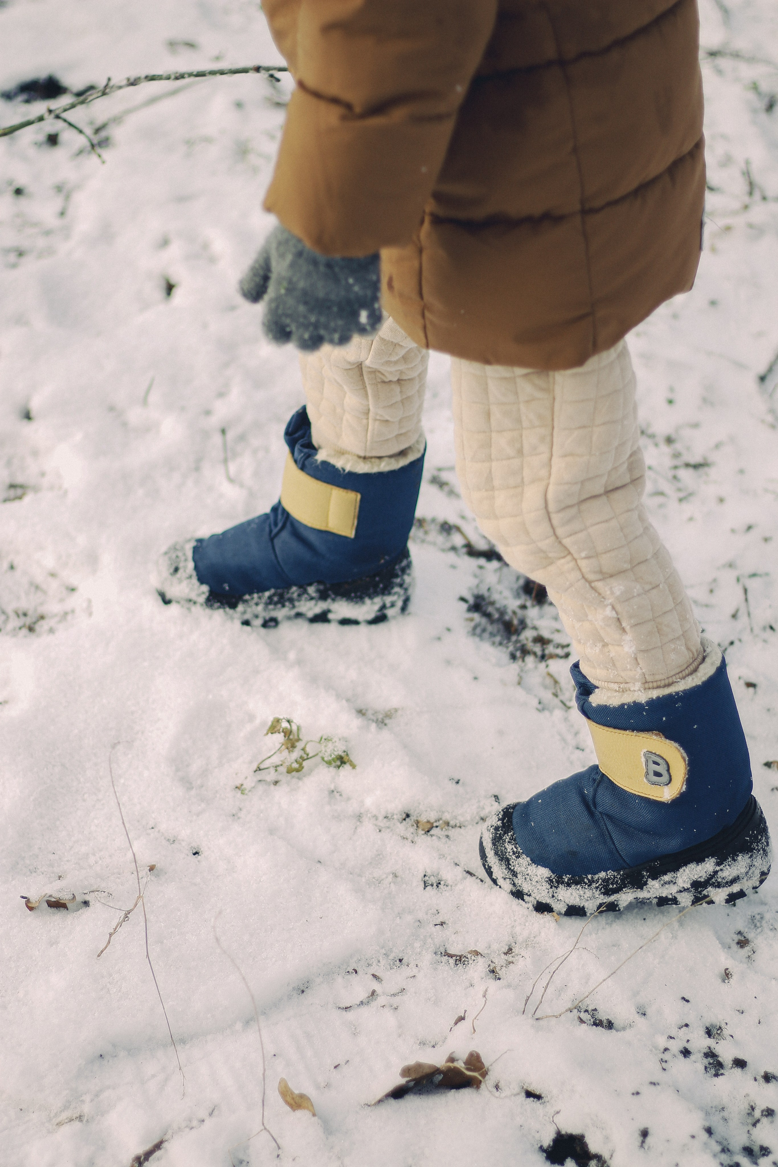 Зимний Краснодар. Фотограф Краснодар