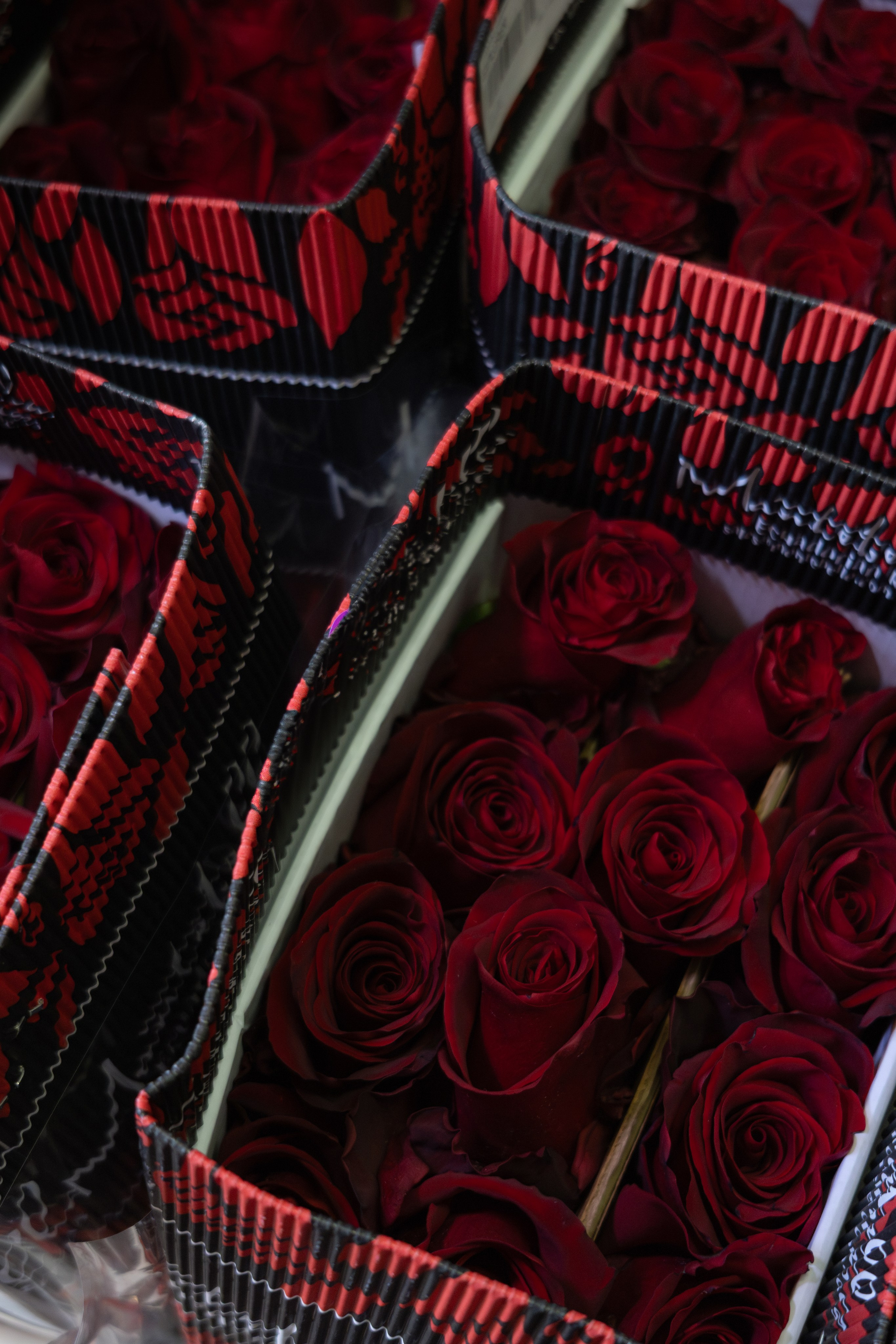 Flower warehouse. Фотограф Дарья Карпенко