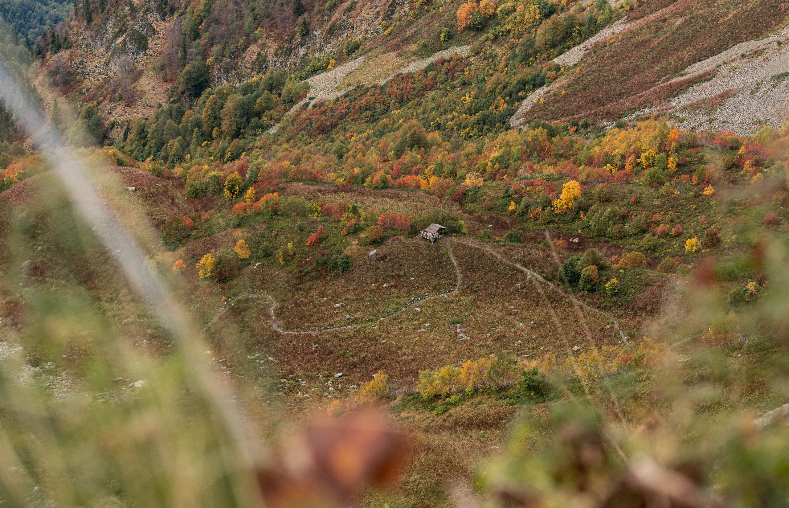 Трейловый бег «Альпиндустрия. Три курорта''. Репортажный фотограф в Красной Поляне и Сочи Павлюченко Екатерина