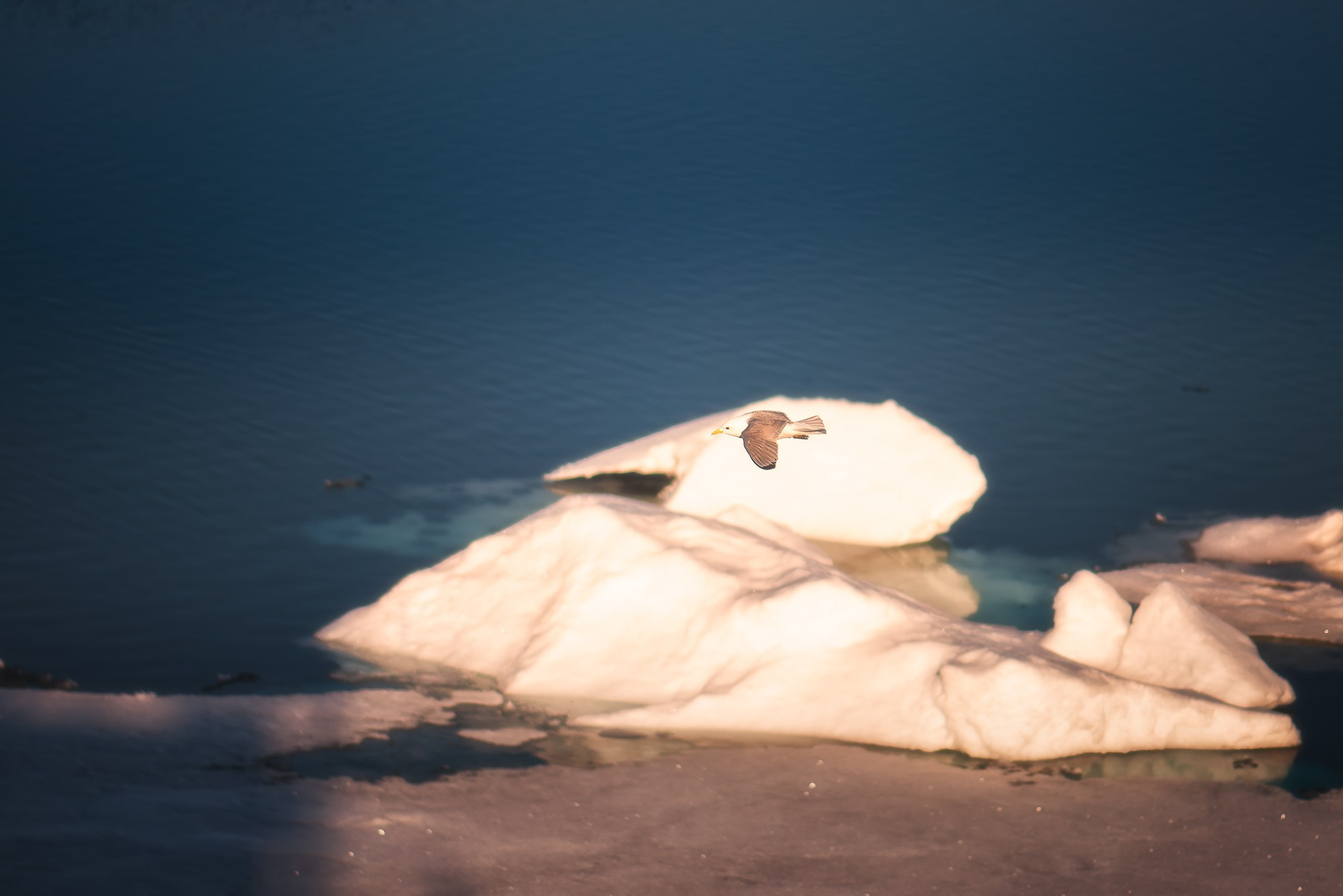 Арктика. Аэросъемка в Архангельске, Александр Ермолин