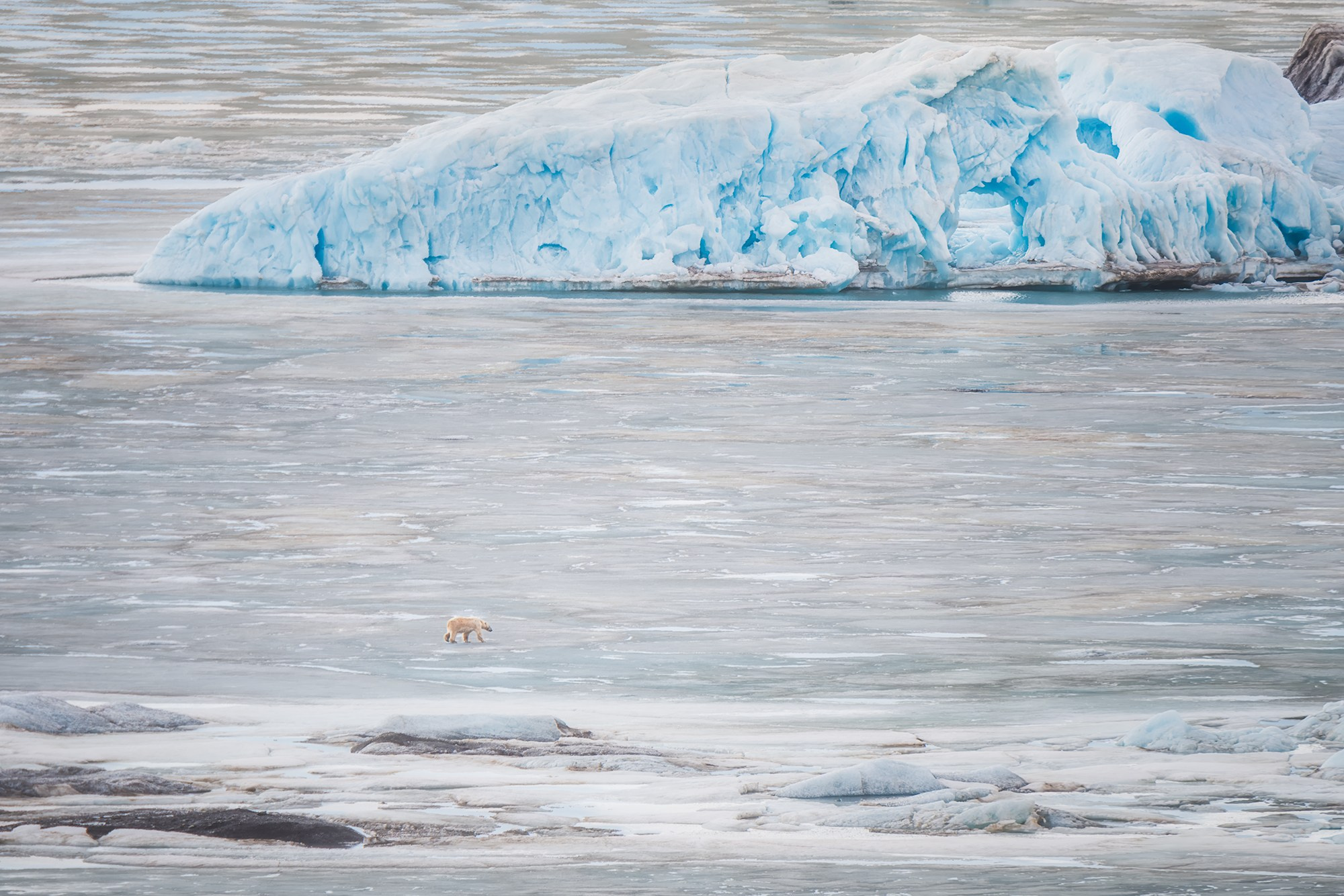 Арктика. Аэросъемка в Архангельске, Александр Ермолин