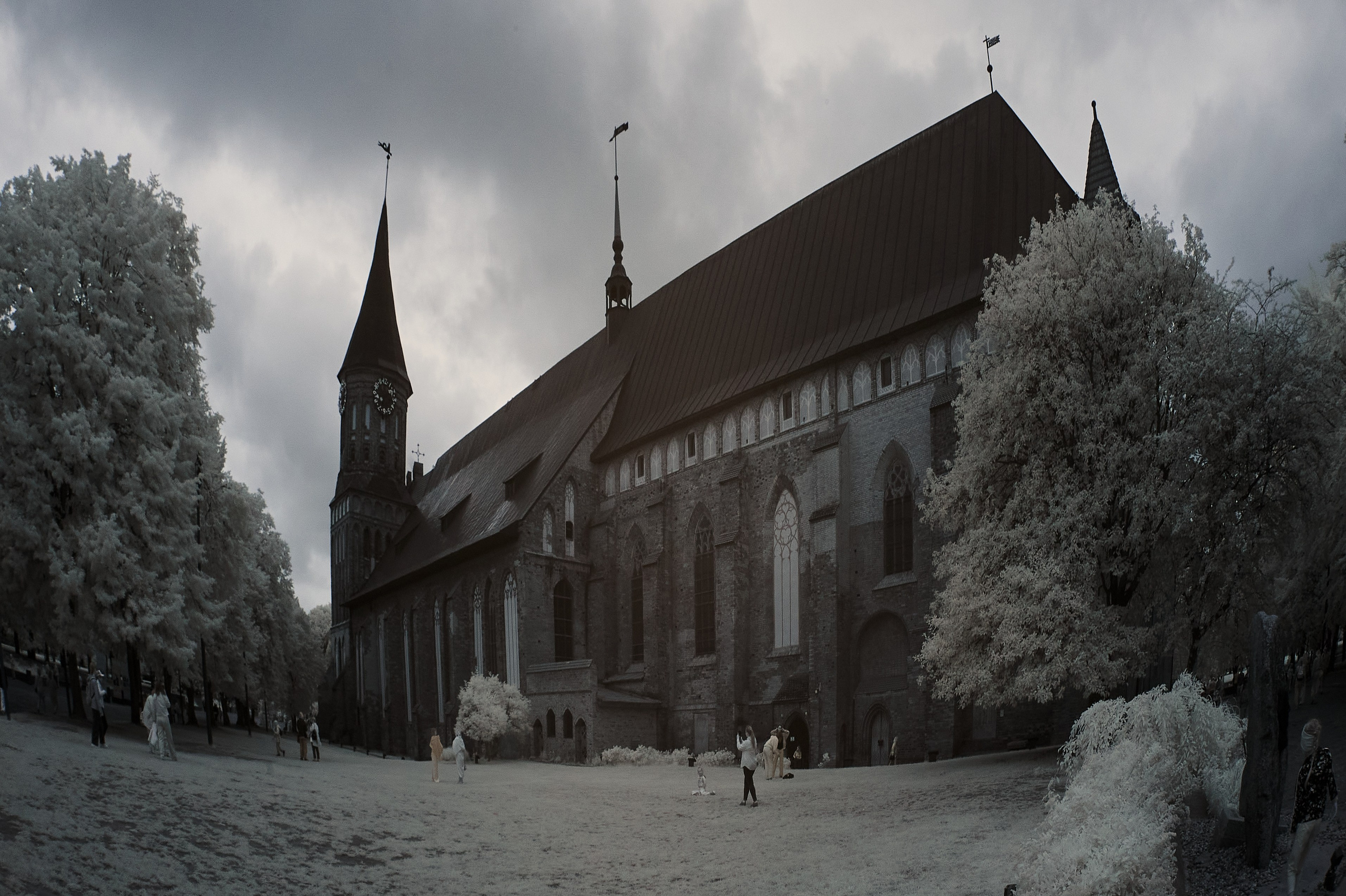 Infrared Photography. Solofilms