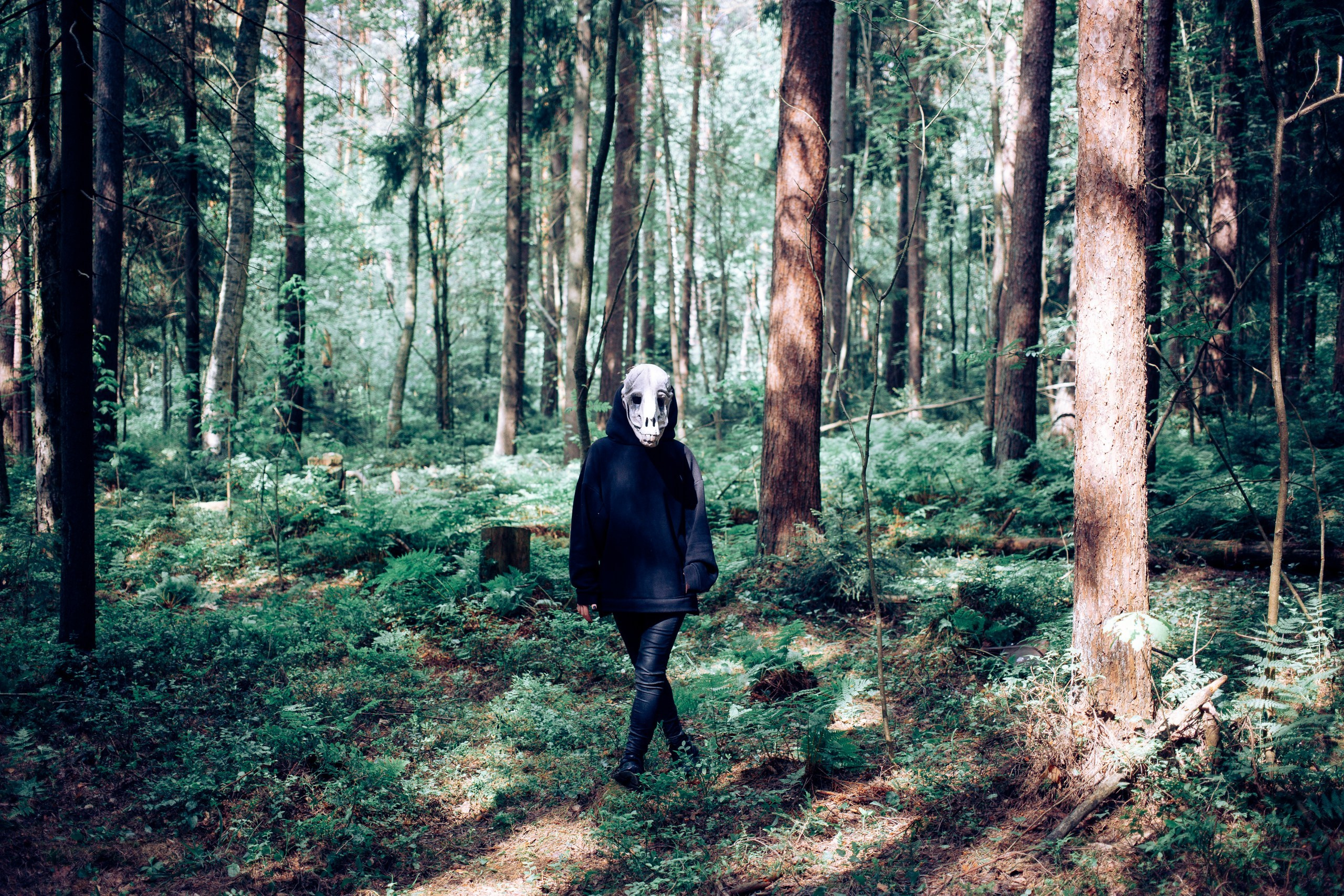 Запретный лес. Репортажный фотограф Анастасия Головко