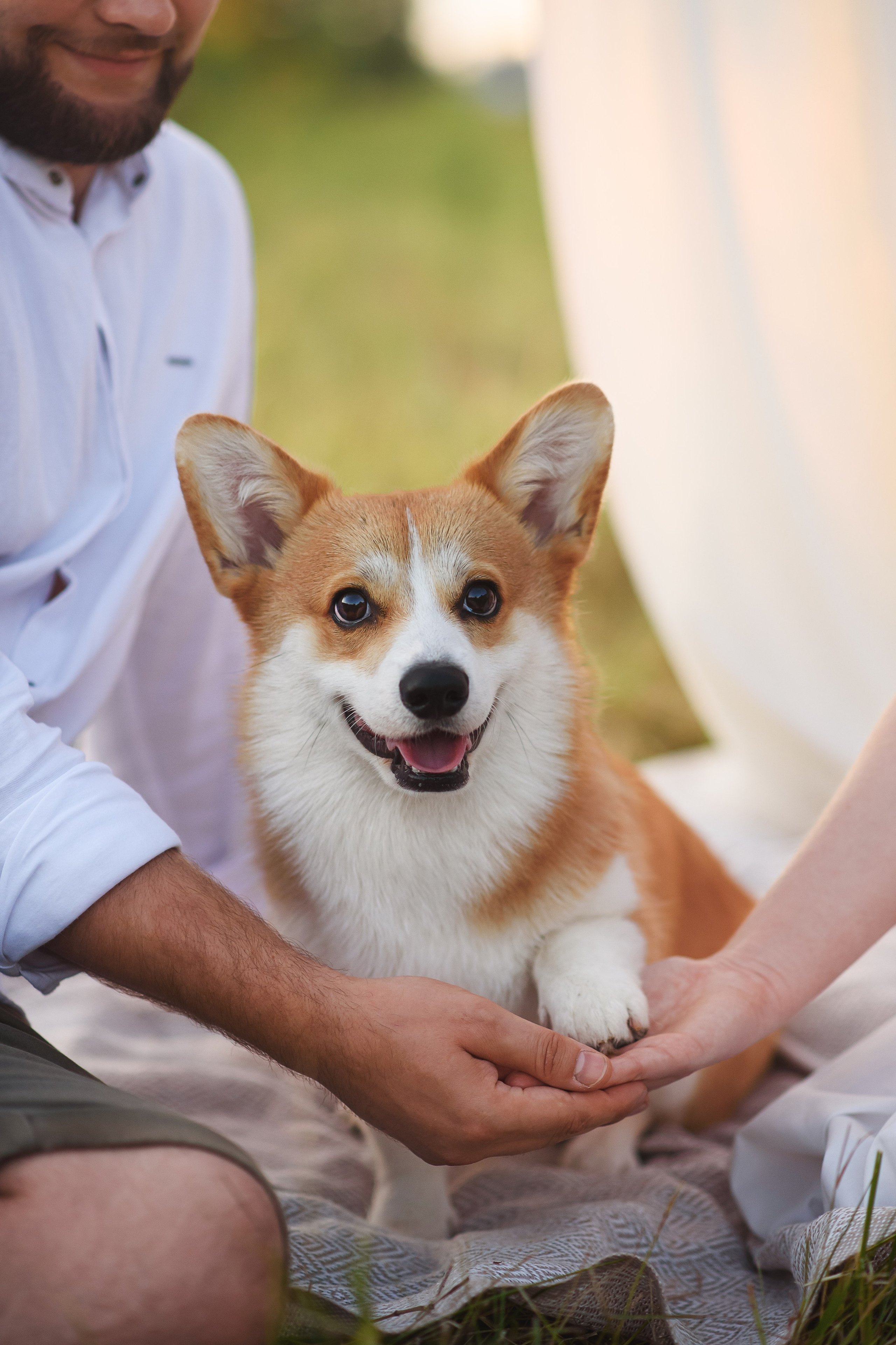Сережа, Вика и Феня — 25.07.2024. Фотограф — Анималист | Анна Абрамова