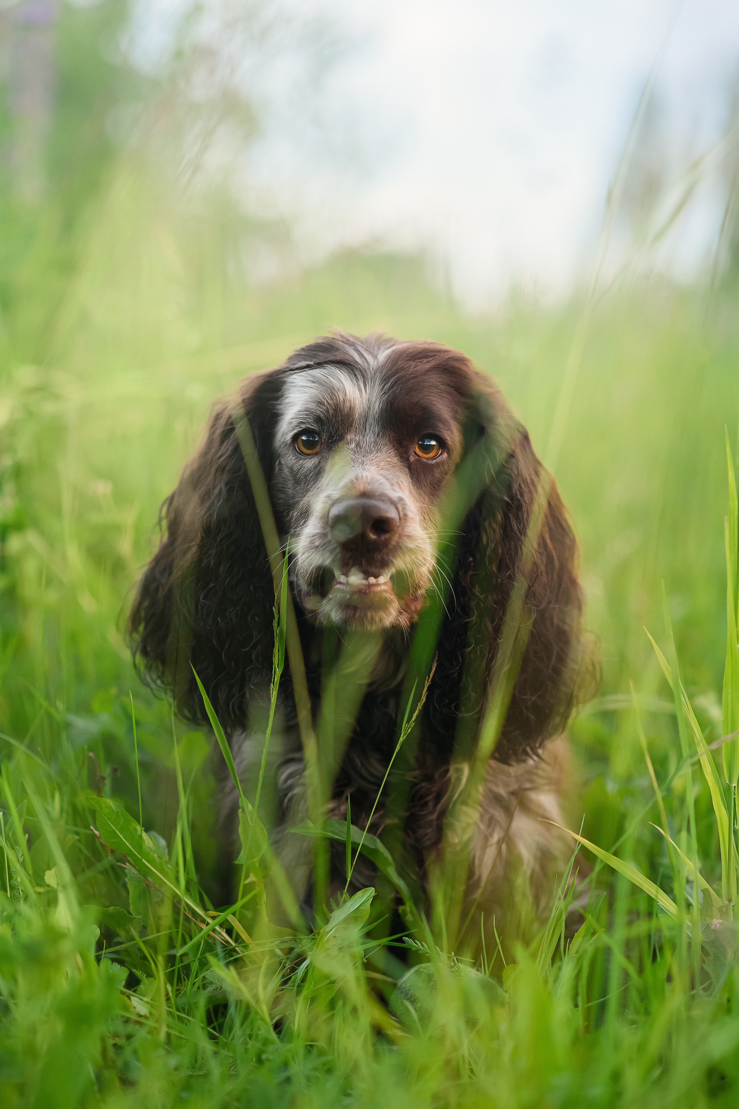Света и Рей — 09.06.2024. Фотограф — Анималист | Анна Абрамова