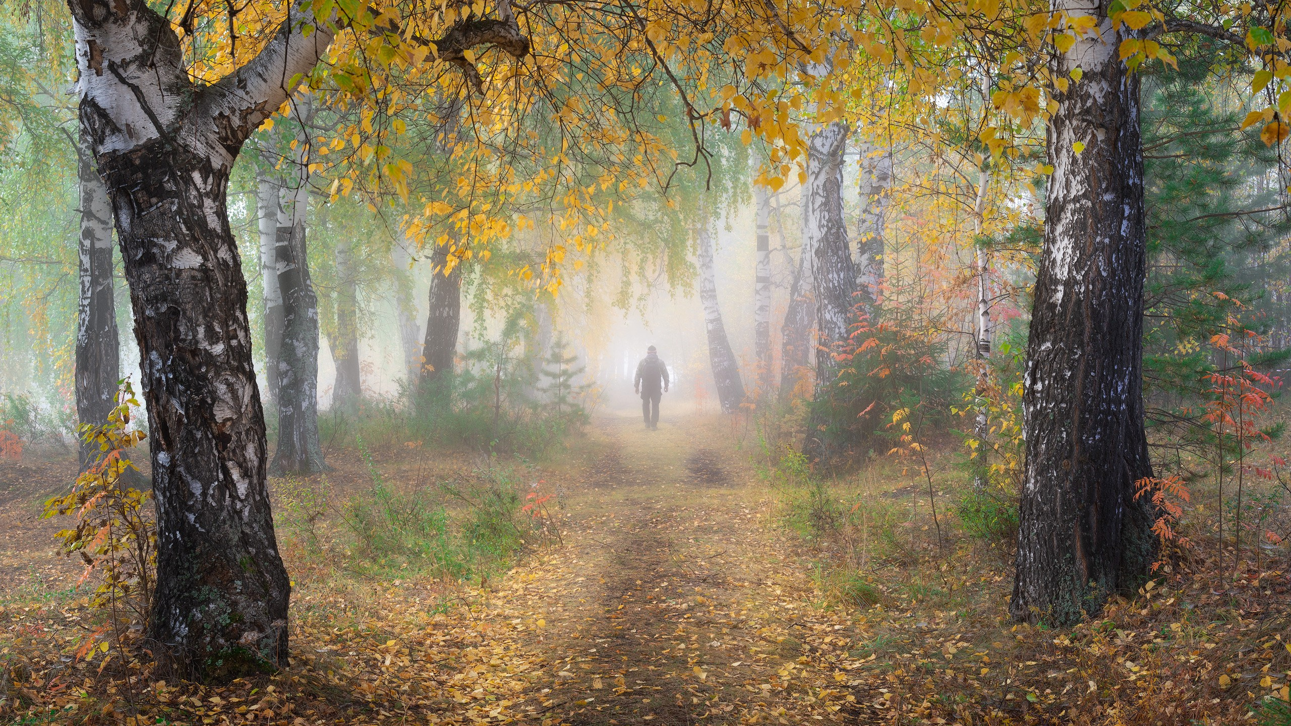 Фотографии природы Урала - пейзажи и фото Николая Обухова