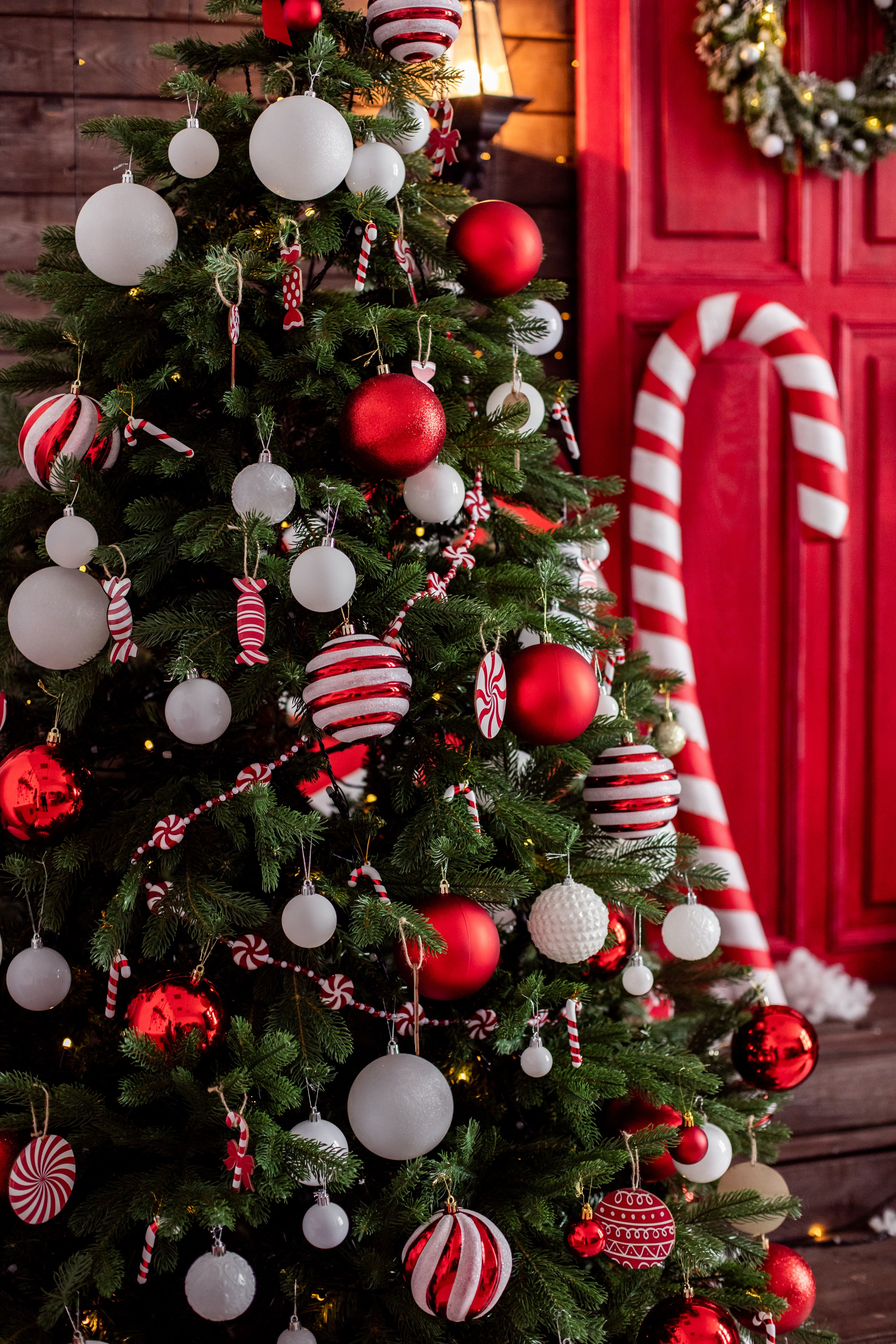 Буфет. Фотограф г. Хабаровск. Семейные и индивидуальные съёмки