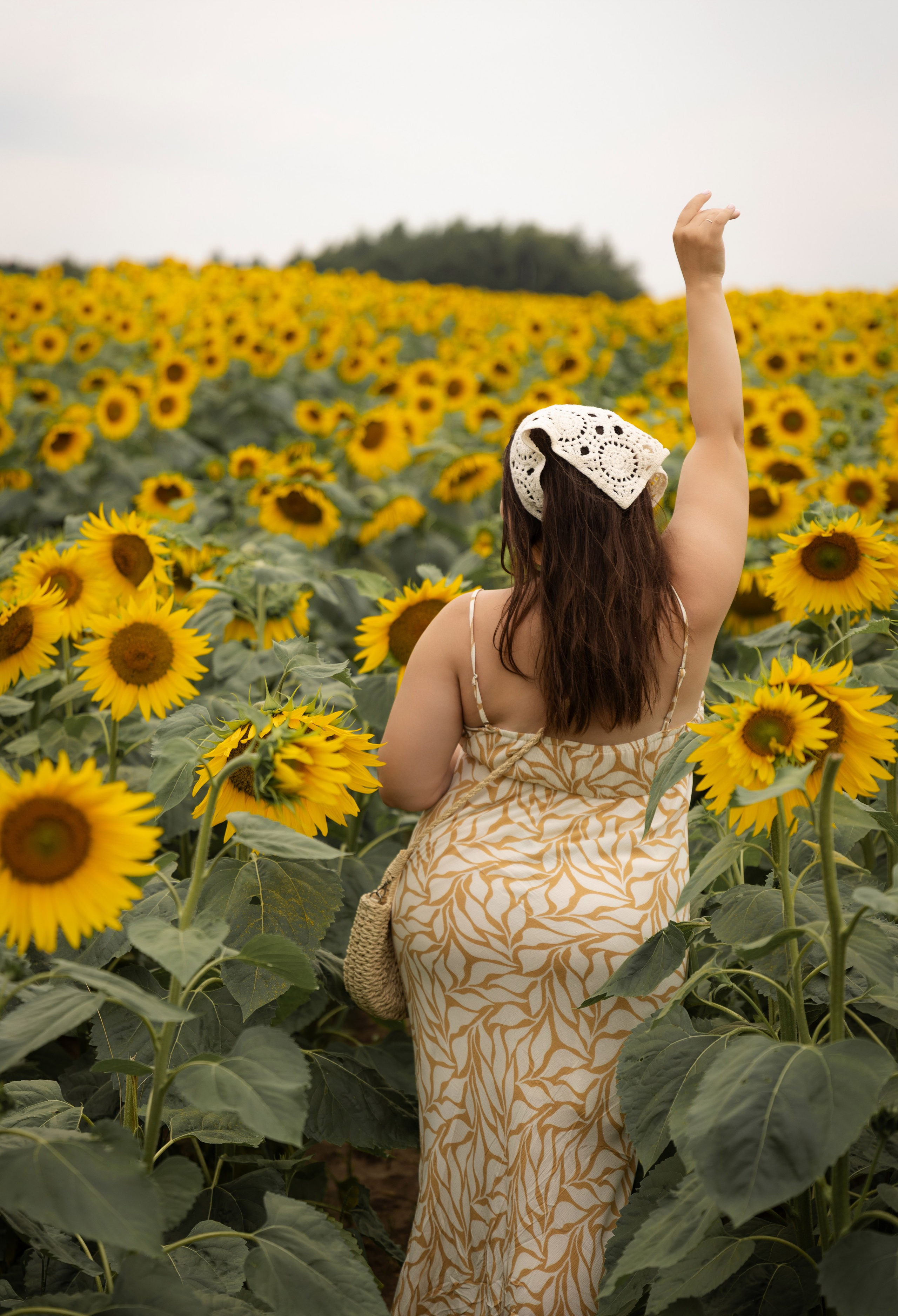 Подсолнухи. Фотограф в Нижнем Новгороде, Дзержинске Олеся Хозяева