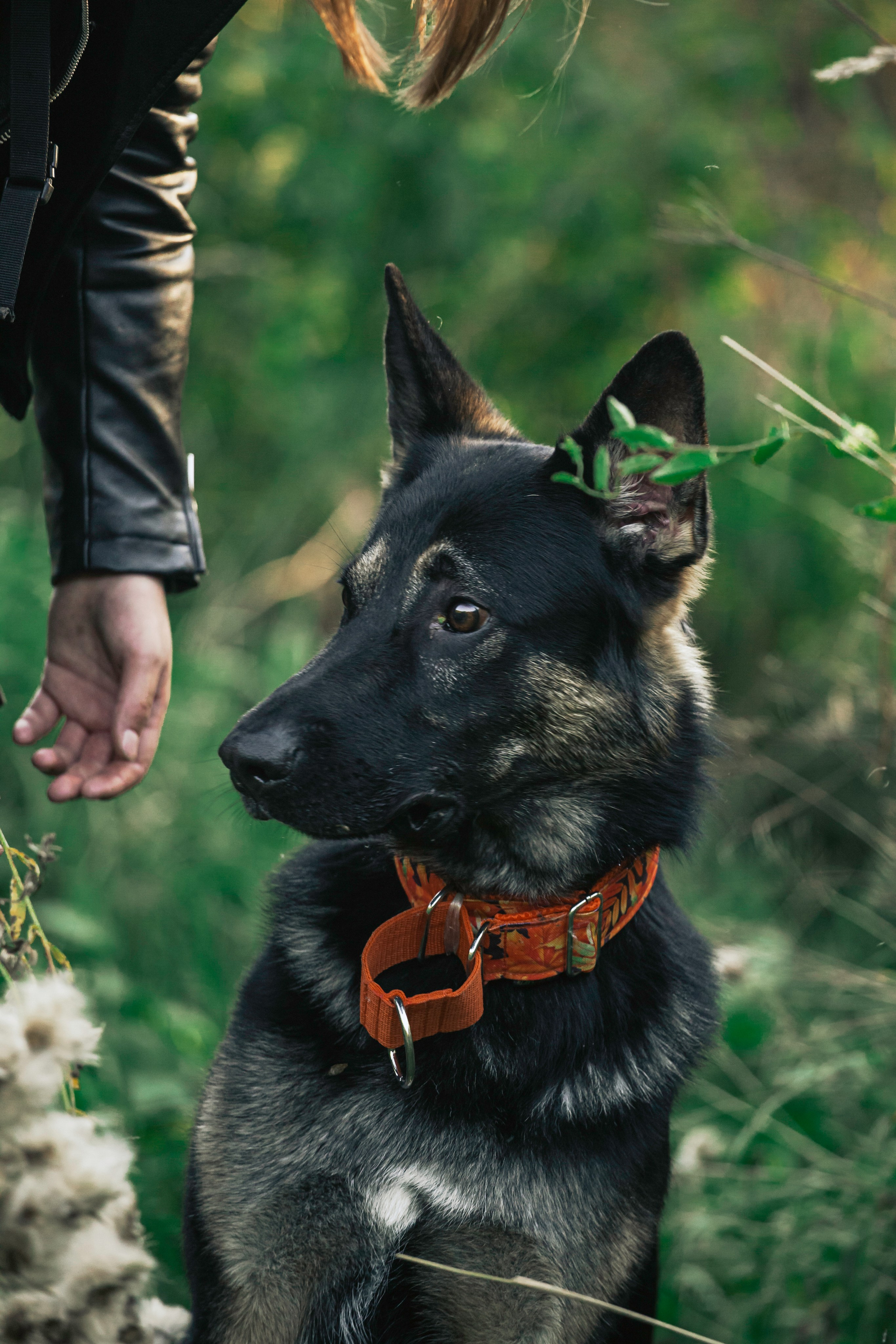 Илай. Фотограф-анималист Татьяна Степанова
