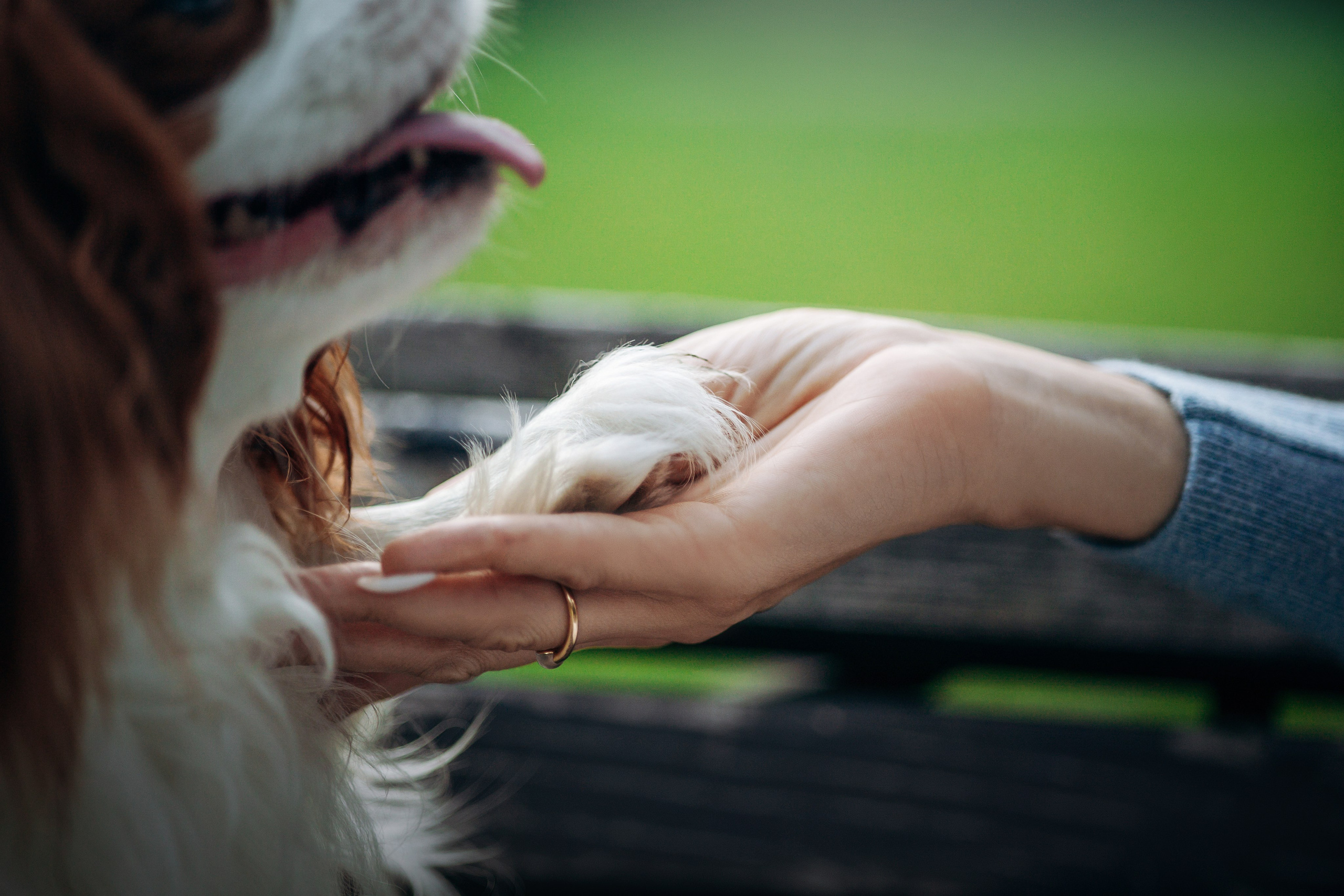 Юлия и Мия. Фотограф — Анималист | Санкт-Петербург