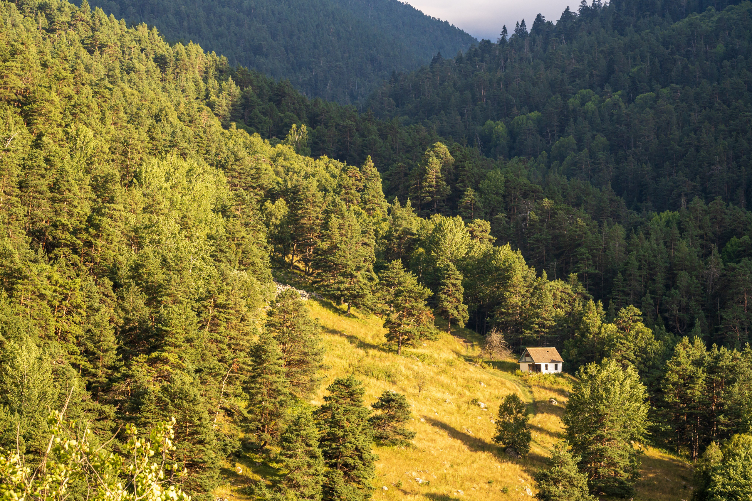 Экспедиция 2025