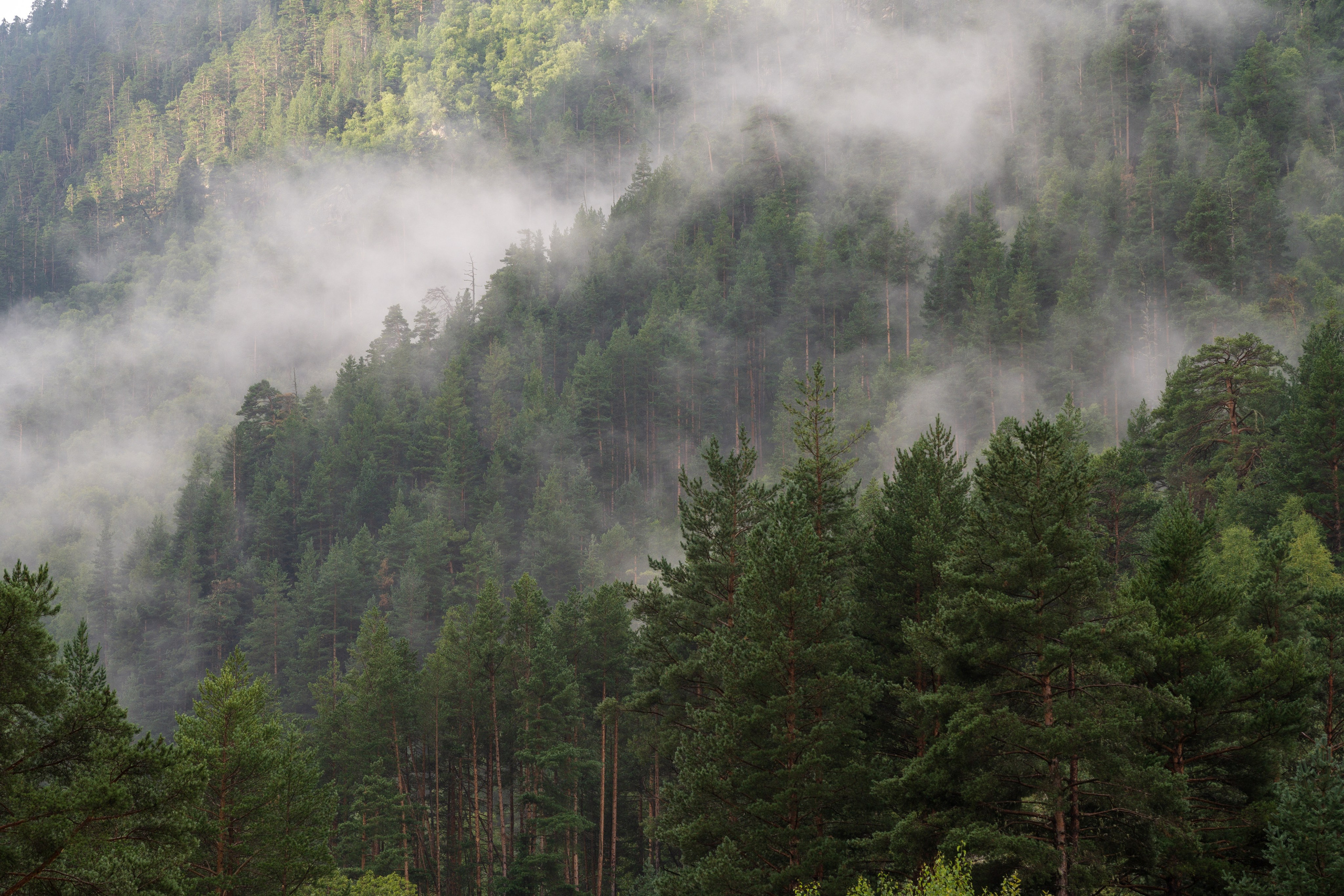 Экспедиция 2025