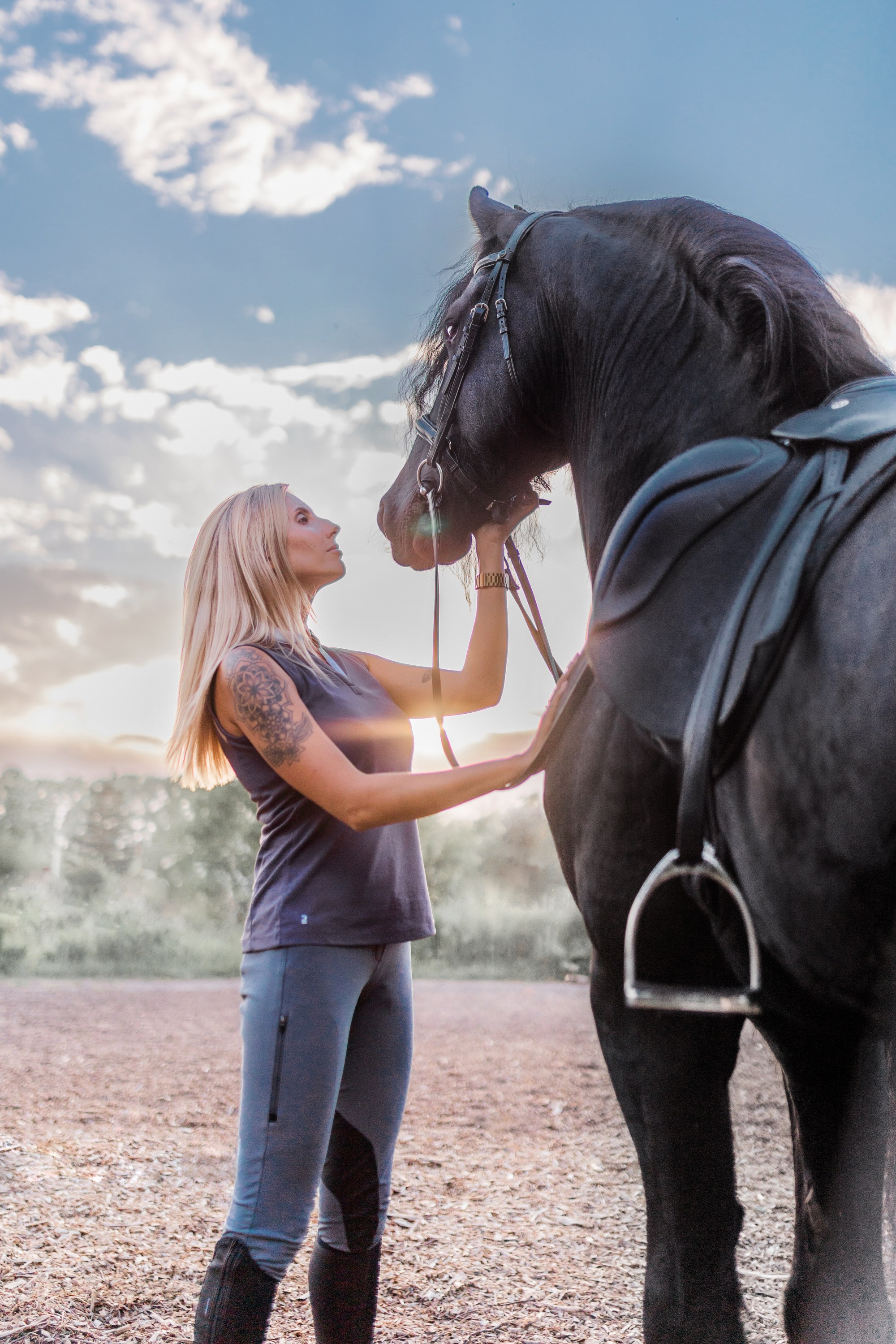 Фотосессии с лошадьми. Главная