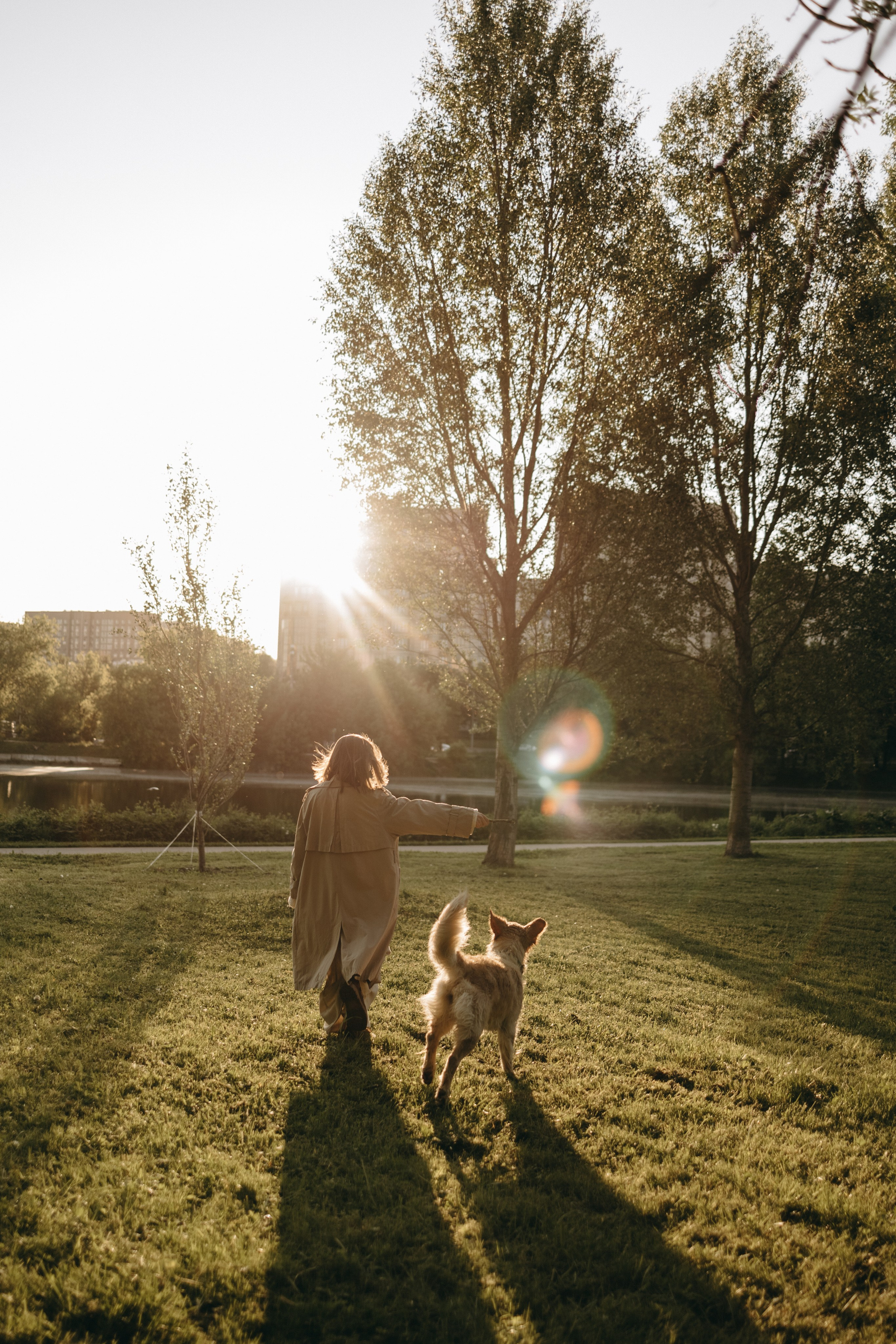 Пенни и ребята. Фотограф — Анималист | Санкт-Петербург