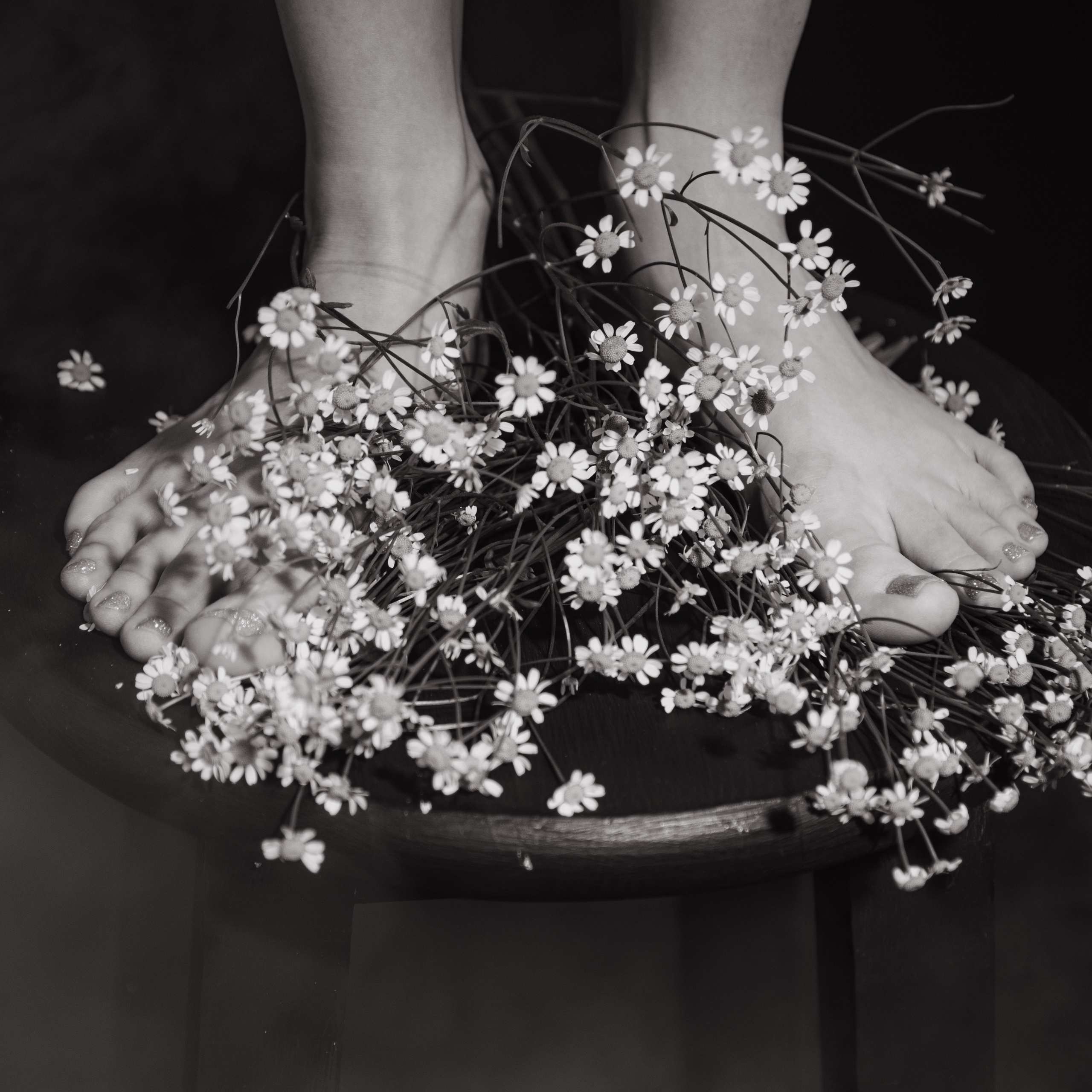 Портфолио. Фотограф в Пскове и Санкт-Петербурге Татьяна Рейнелл