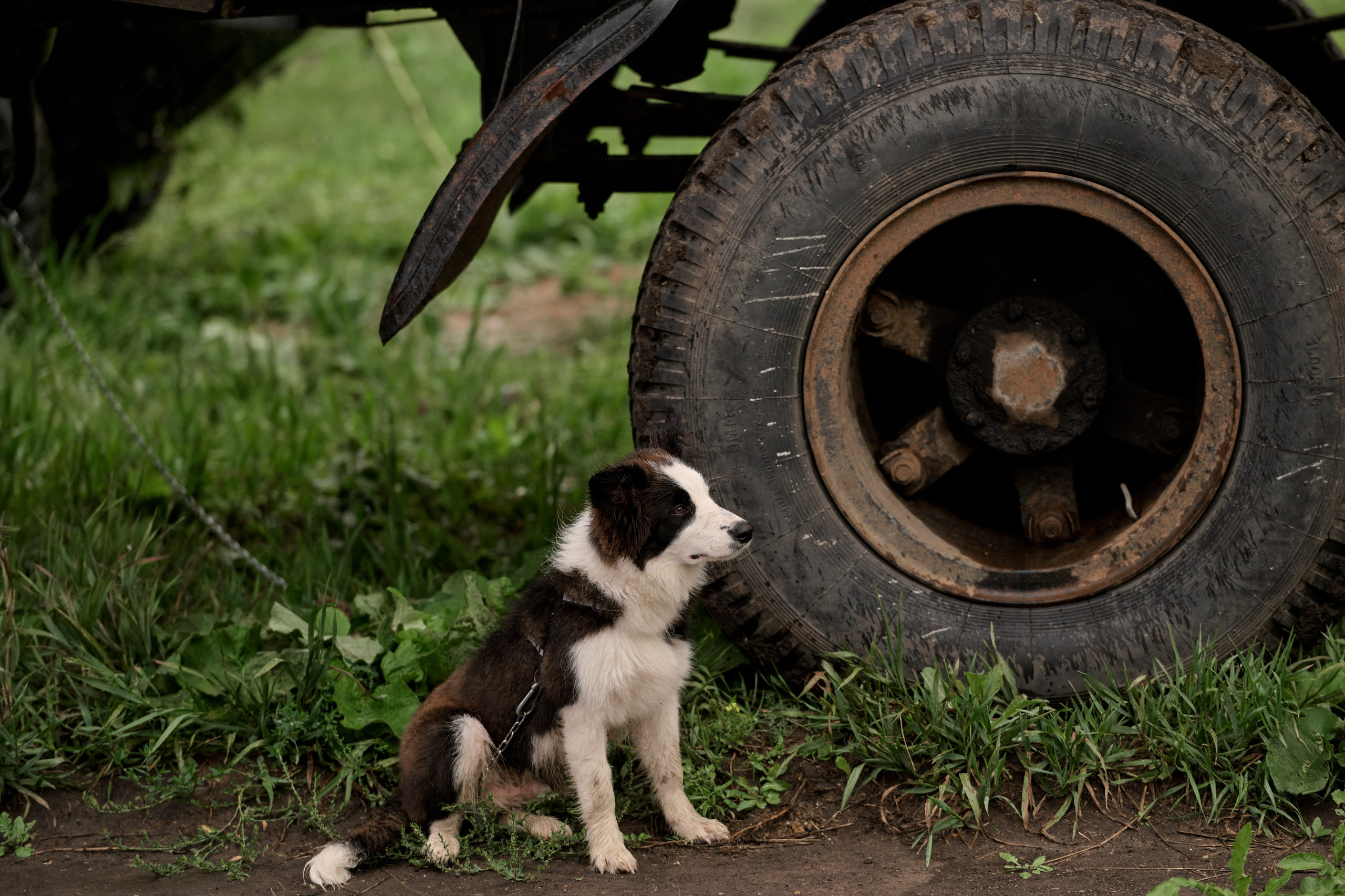 4 этап кубка Ракета 2025 год. Сергей Богомолов. Свадебный и семейный фотограф