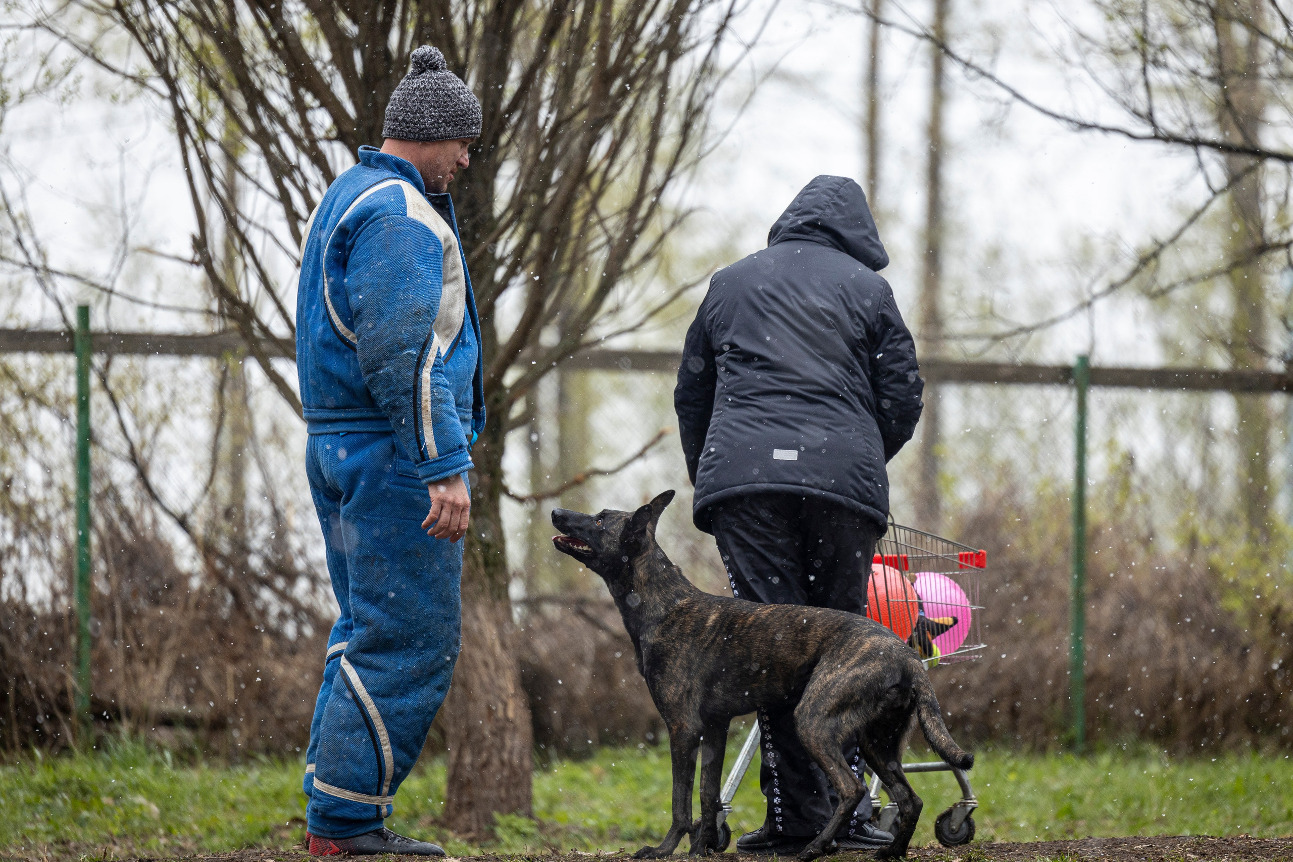 Квалификационные состязания по мондьорингу г. Вологда 11.05.24. Фотограф-анималист Анна Маринич