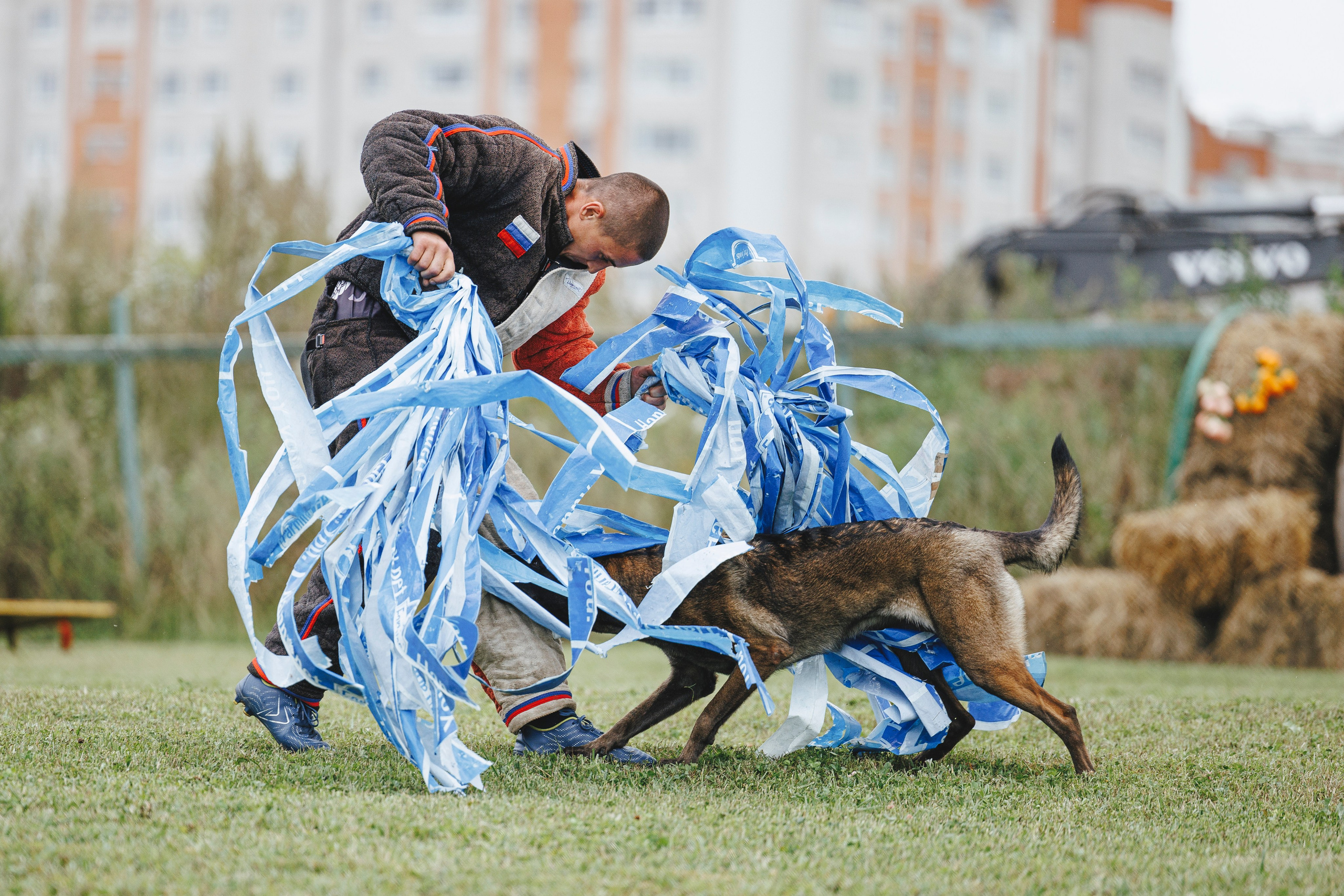 08.08.25-10.08.25 ЧР по мондьорингу г. Вологда. Фотограф-анималист Анна Маринич
