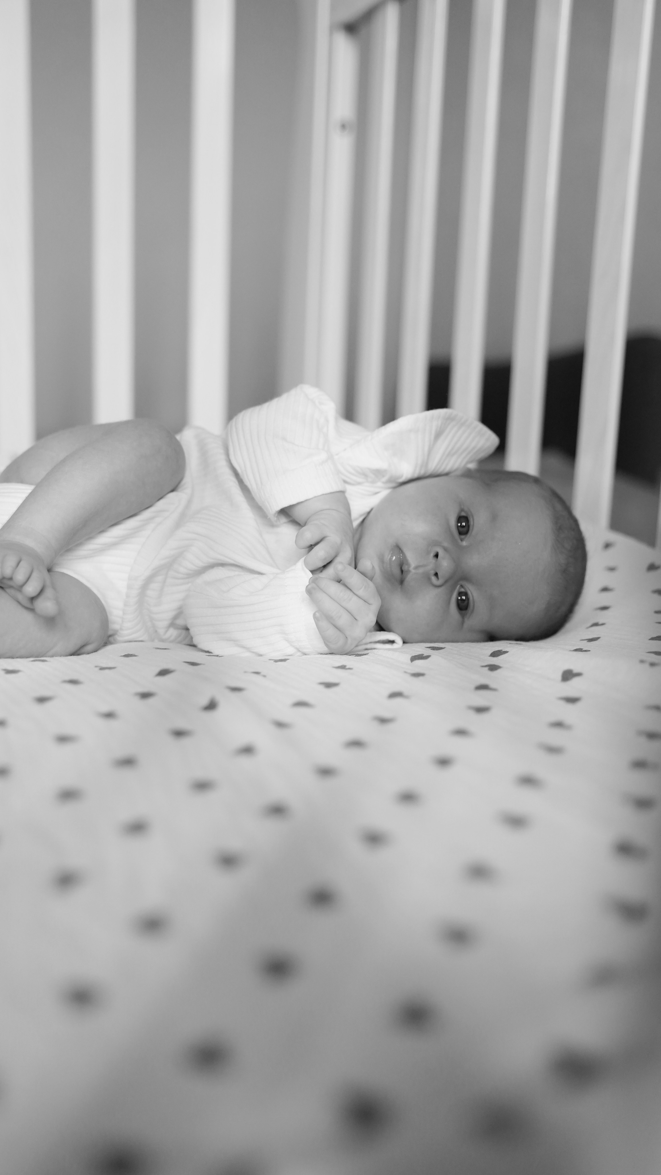 Полина, Михаил и Анечка. Добро пожаловать в мир самого прекрасного — в мир фотографии!