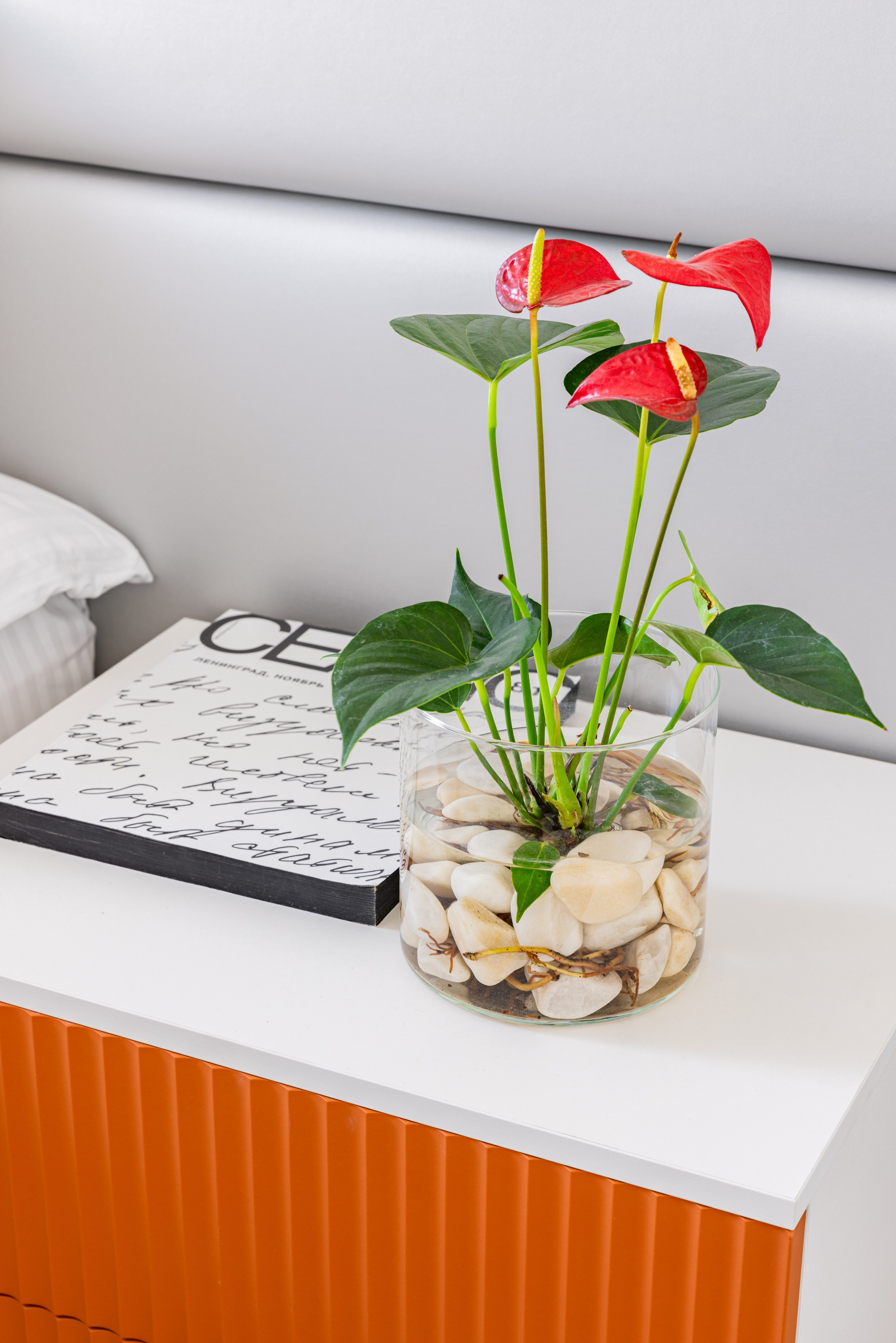 Портфолио. Интерьерный фотограф СПб Тувике Михаил