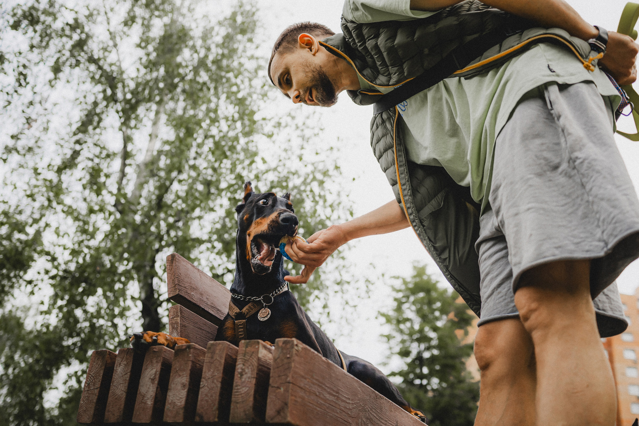 Паша, Хайди и Тея