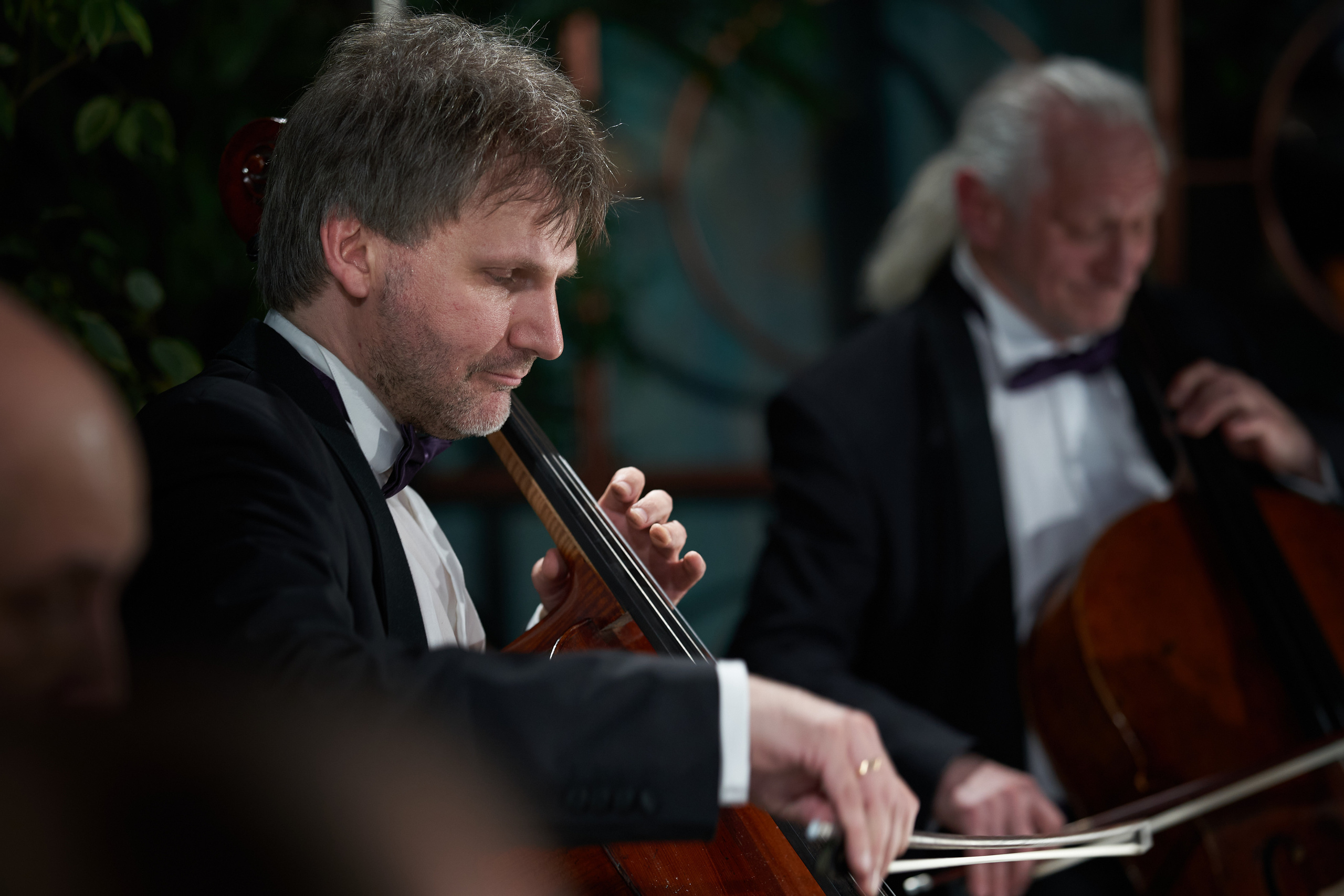 Концерт Rastrelli Cello Quartet. Сергей Горшенин — профессиональный фотограф
