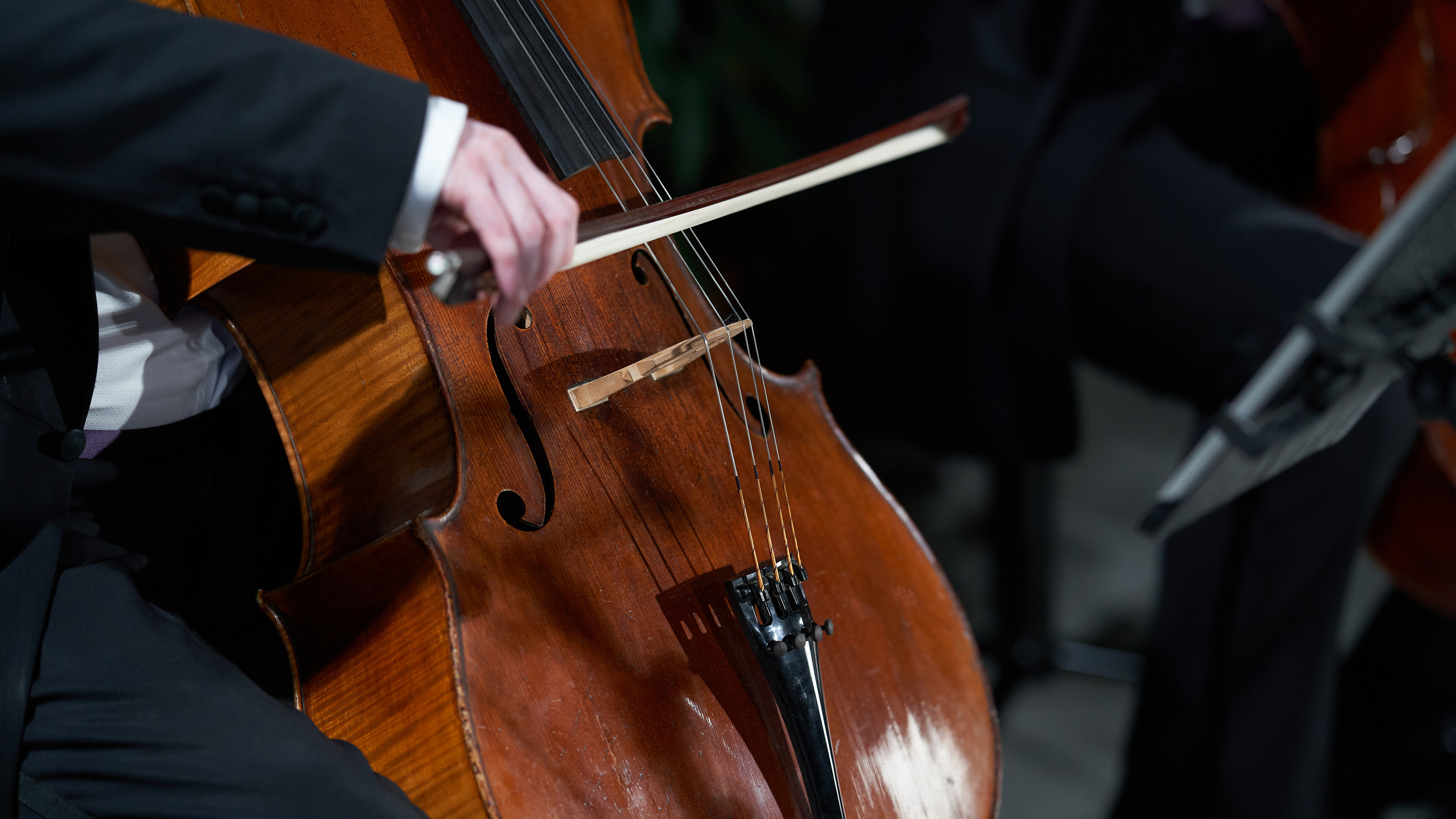Концерт Rastrelli Cello Quartet. Сергей Горшенин — профессиональный фотограф
