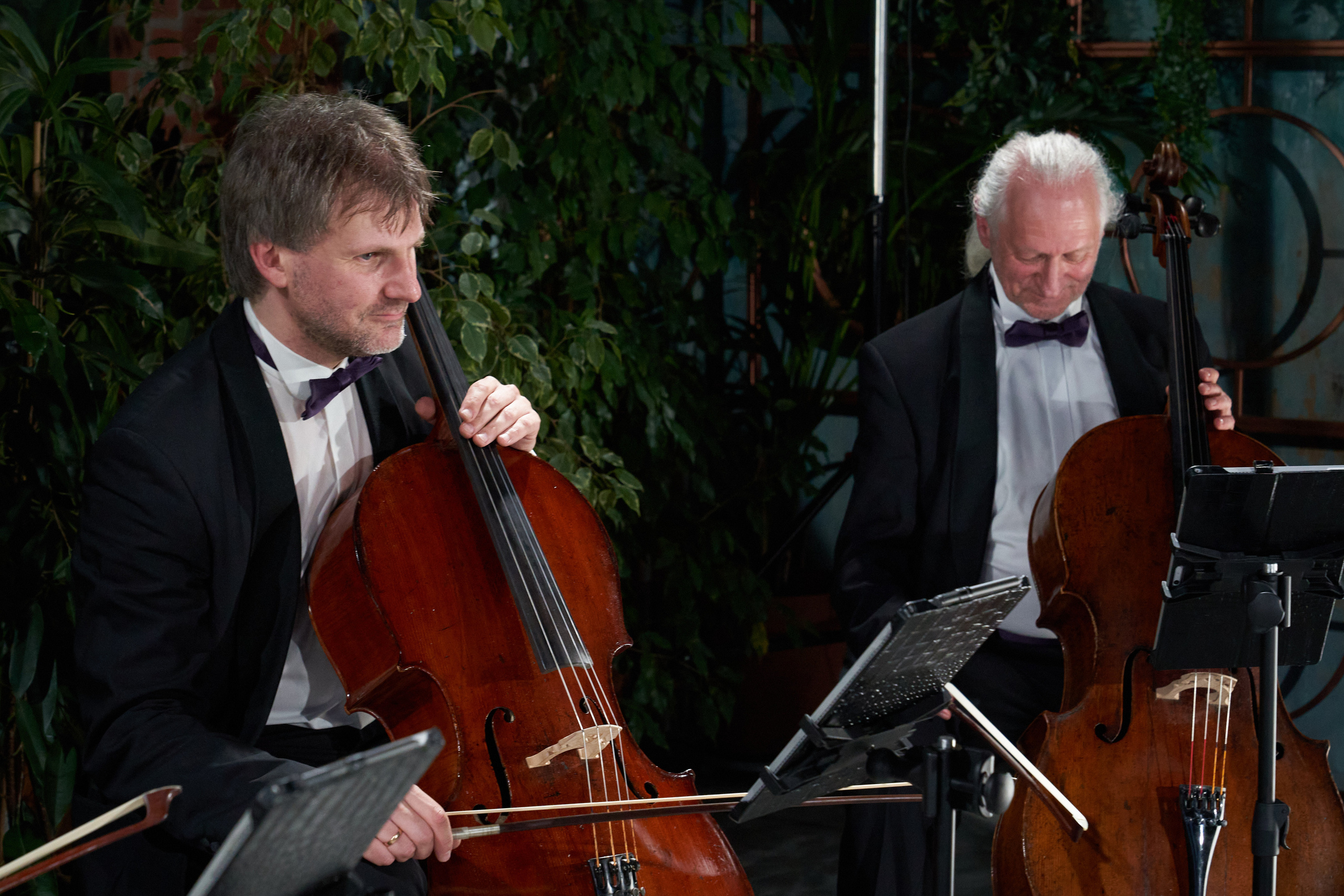 Концерт Rastrelli Cello Quartet. Сергей Горшенин — профессиональный фотограф