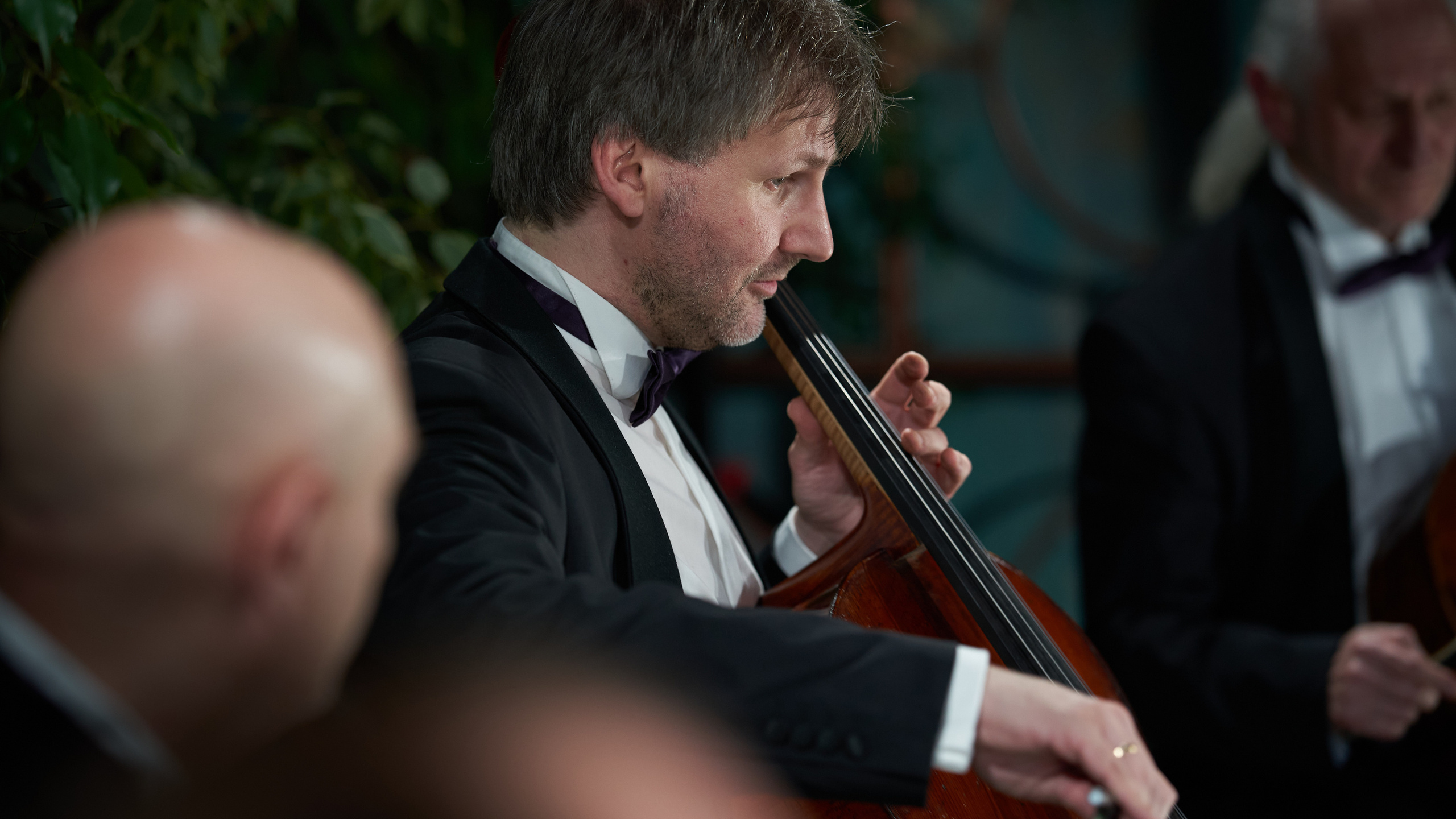 Концерт Rastrelli Cello Quartet. Сергей Горшенин — профессиональный фотограф