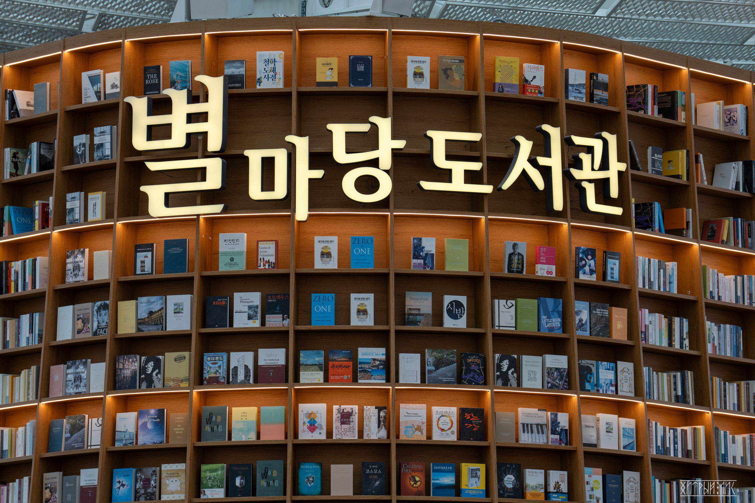 Южная Корея. Фотограф-путешественник Самойлов Максим «Sly Fox»