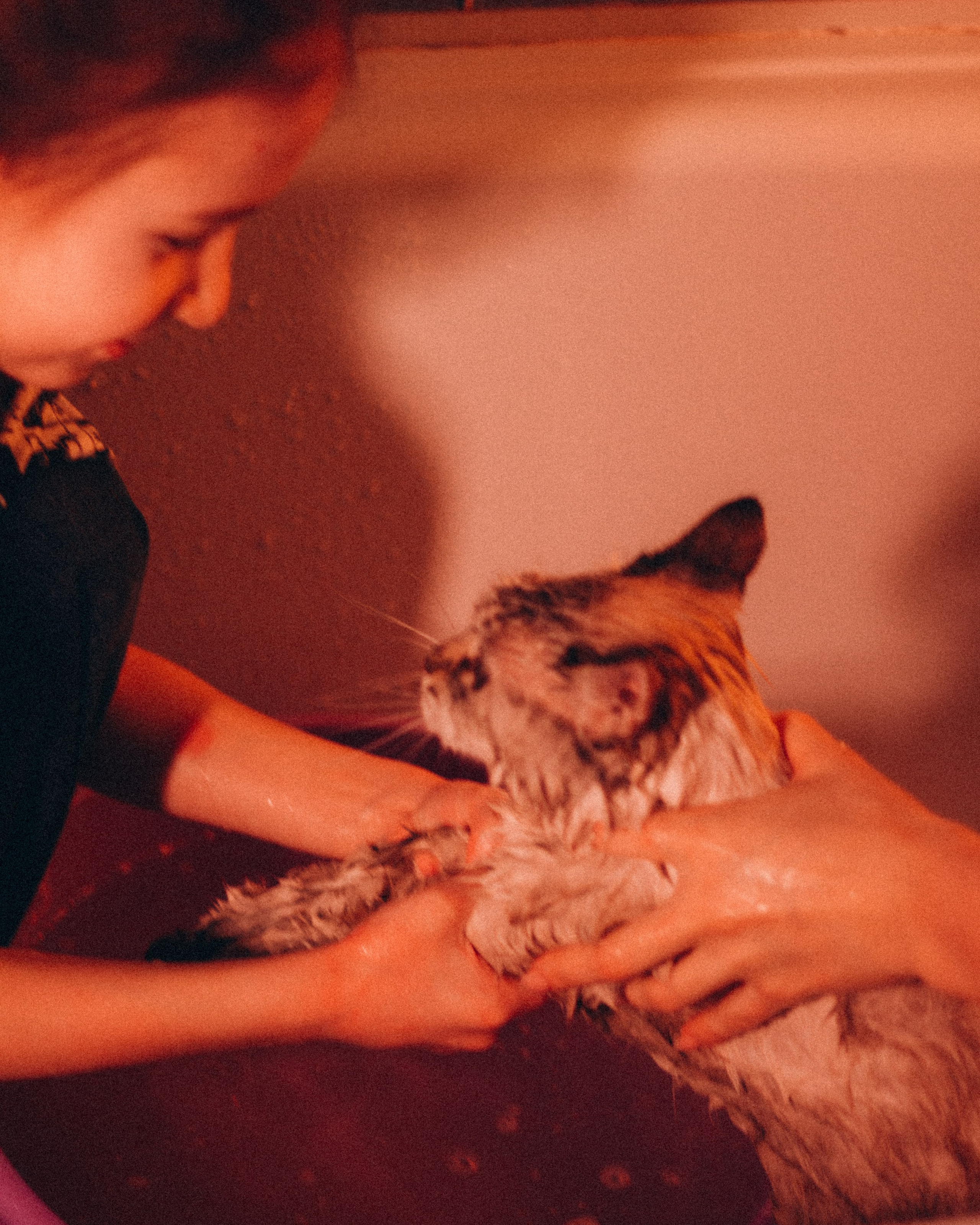 Пушистая любовь. Семейный фотограф в Нижнем Новгороде