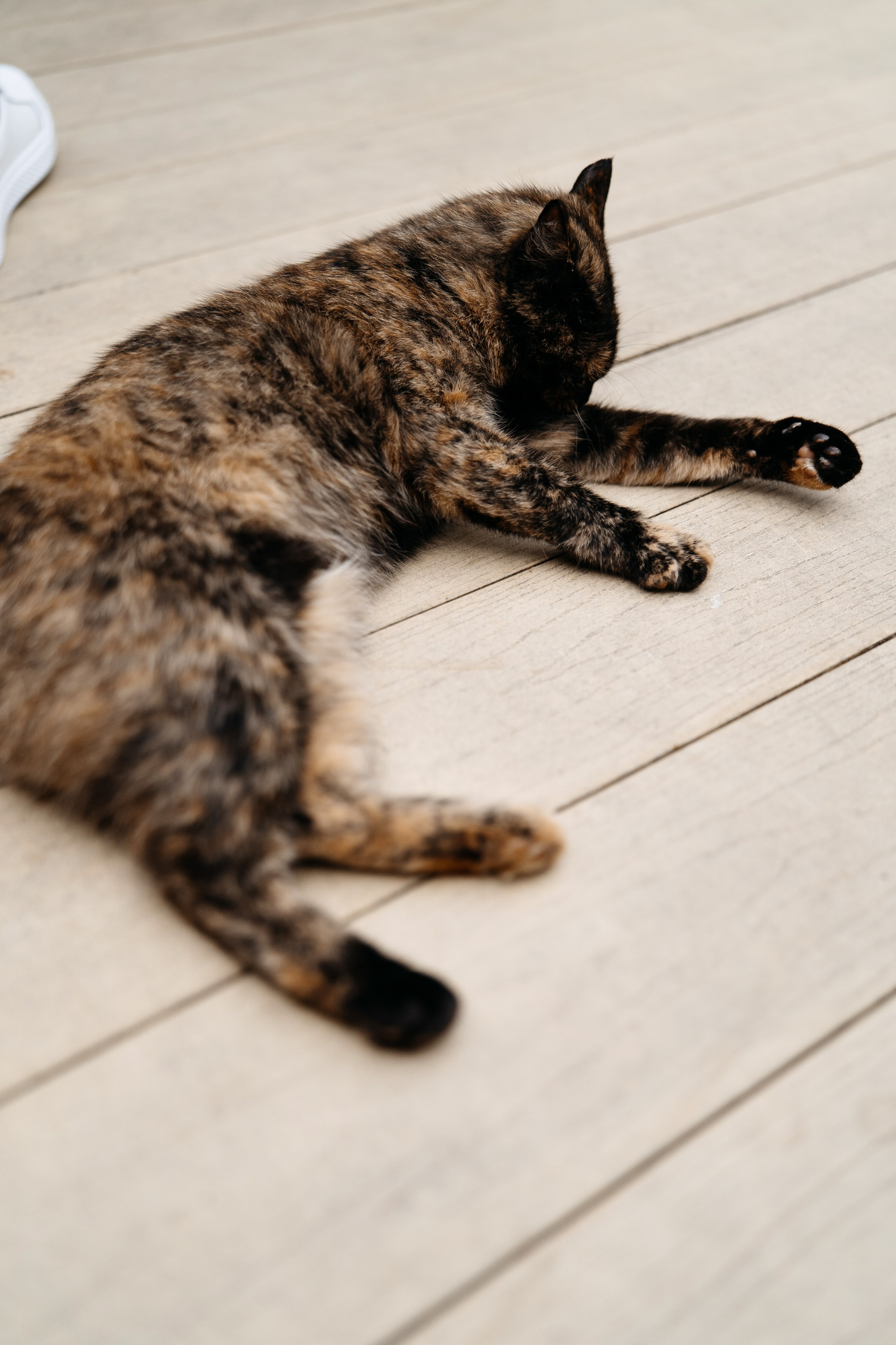 Саша и Саша. Свадебный и репортажный фотограф в Москве Андрей Вайман