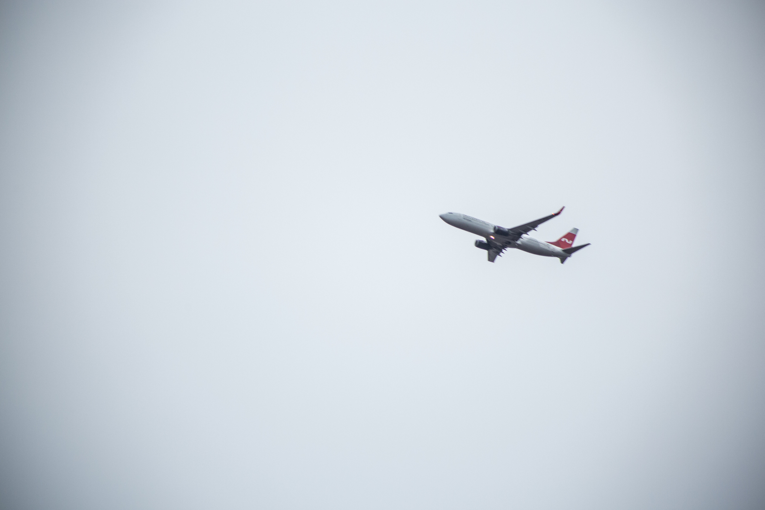 Ксения & Кирилл. Свадебный фотограф в Оренбурге Илья Володьков