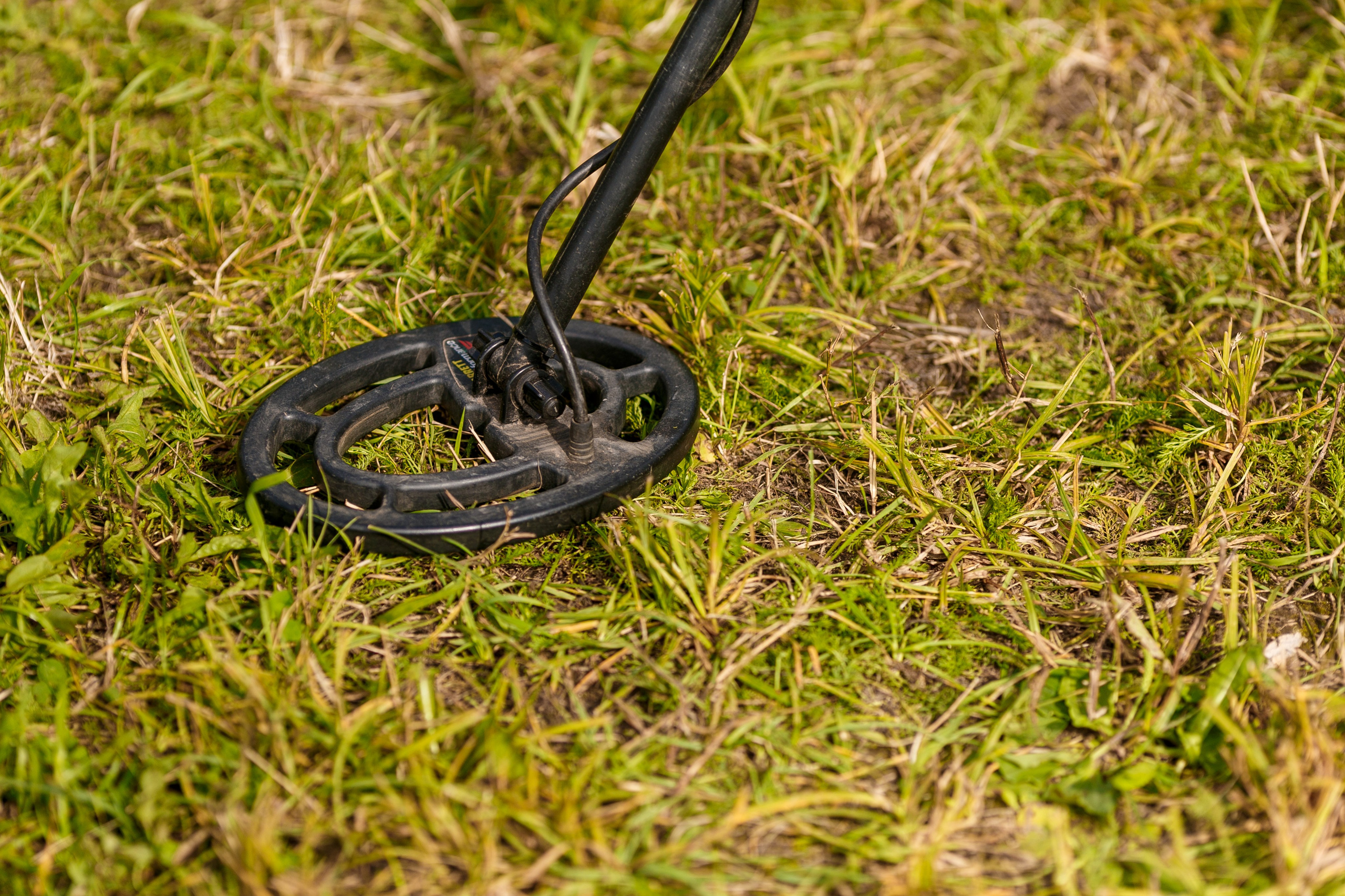 Фотосъемка тимбилдинга для компании SmartLog. Репортажный фотограф Борис Геер