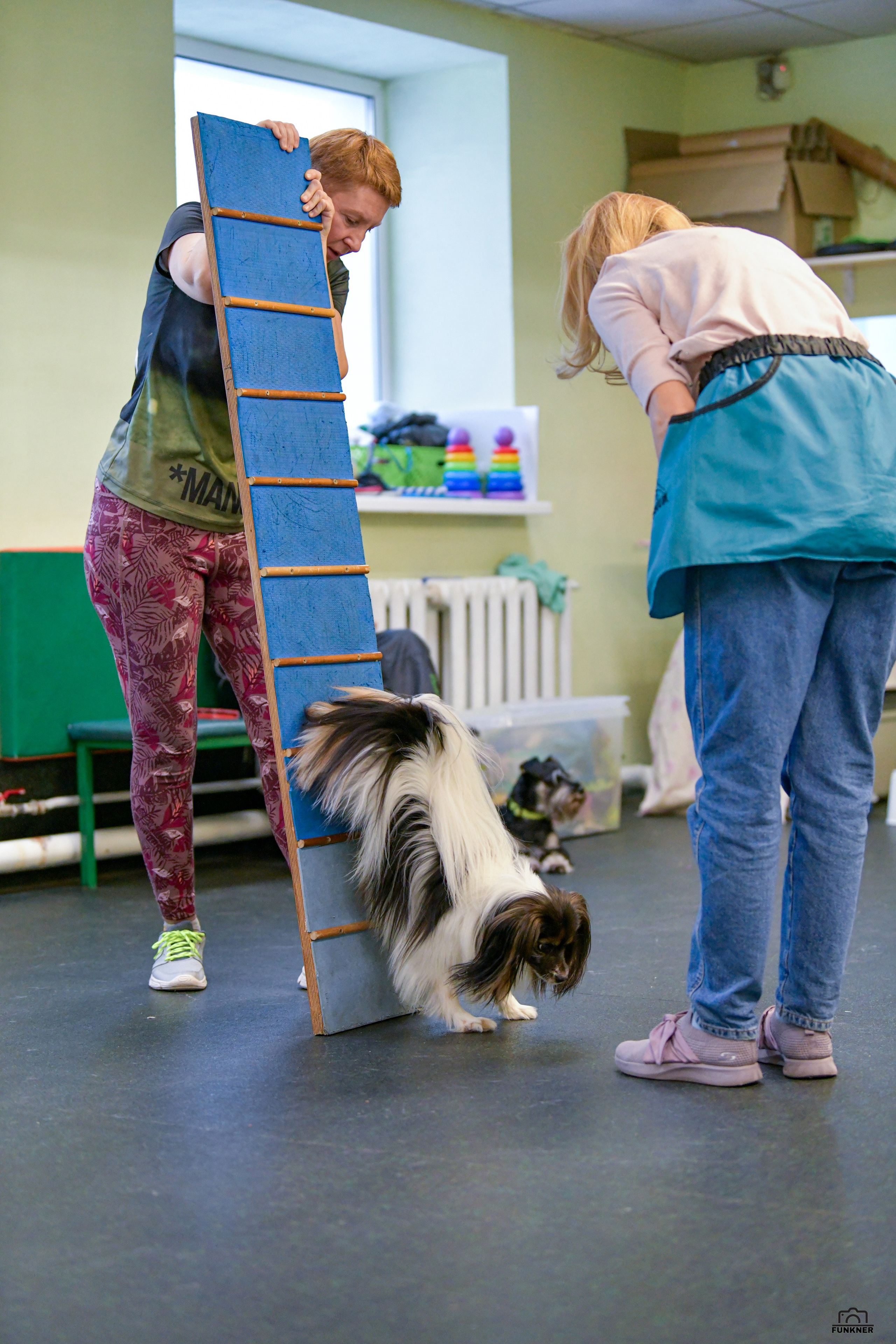 Кинологический клуб «Бодрый хвост». Свой взгляд через объектив