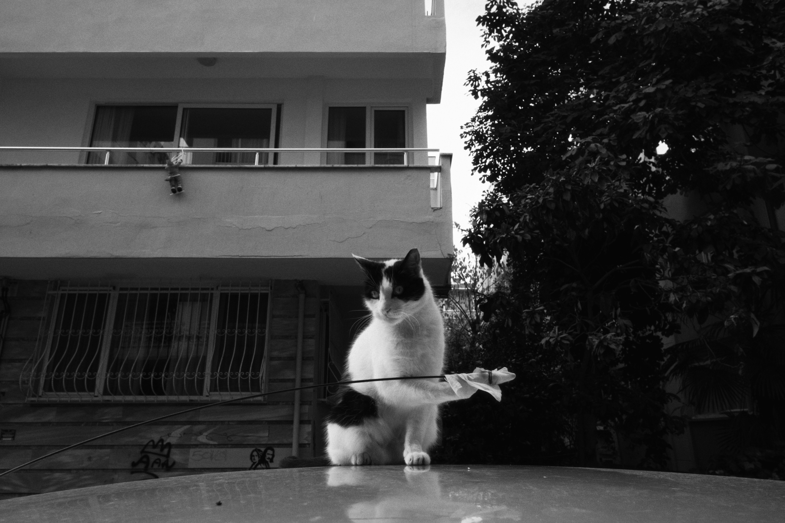 Kadikoy x Moda, Istanbul / Türkey AW25. Фотограф Юрин Евгений