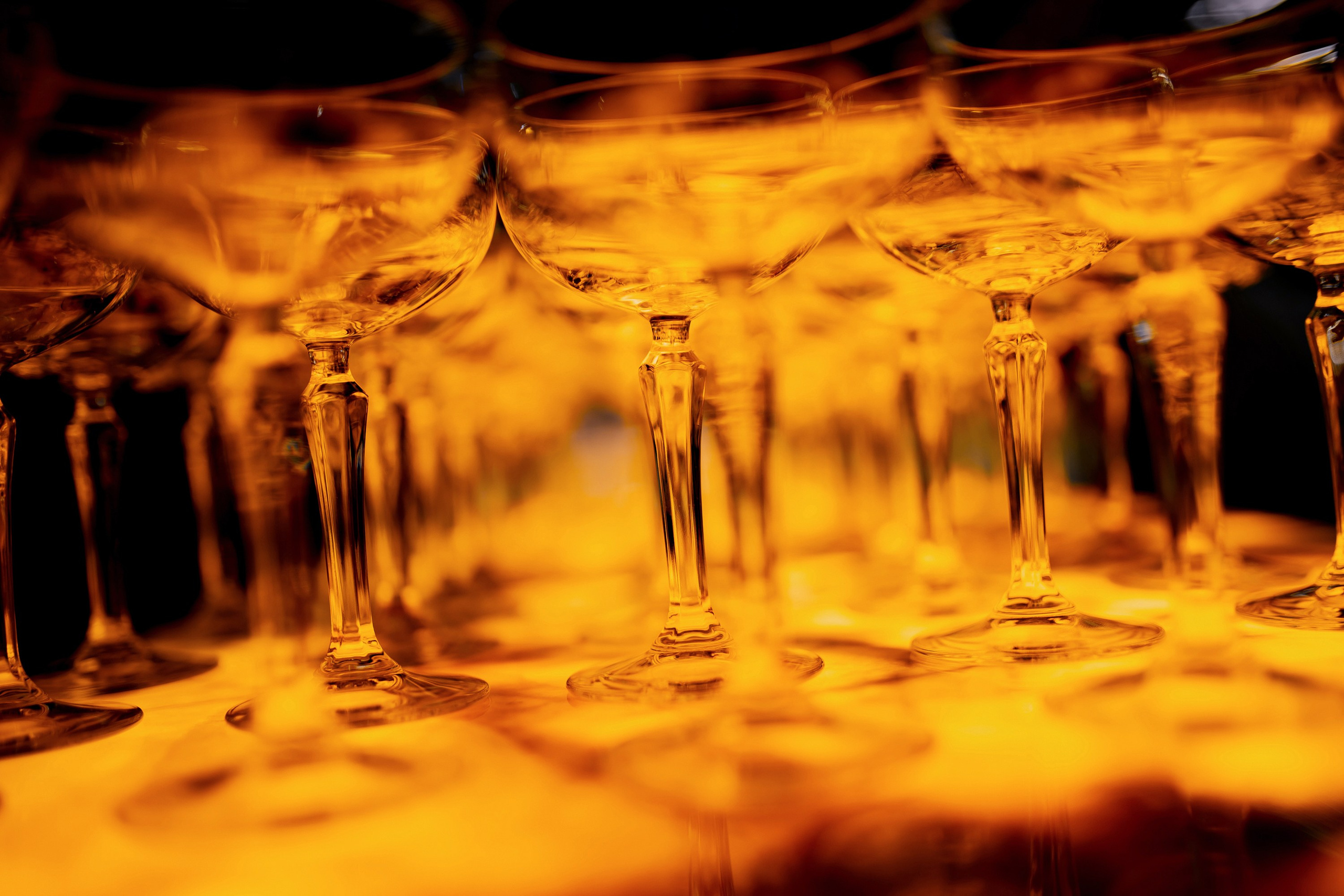 Коктейльный гастроужин Russian Panazia в Studio64. Главная