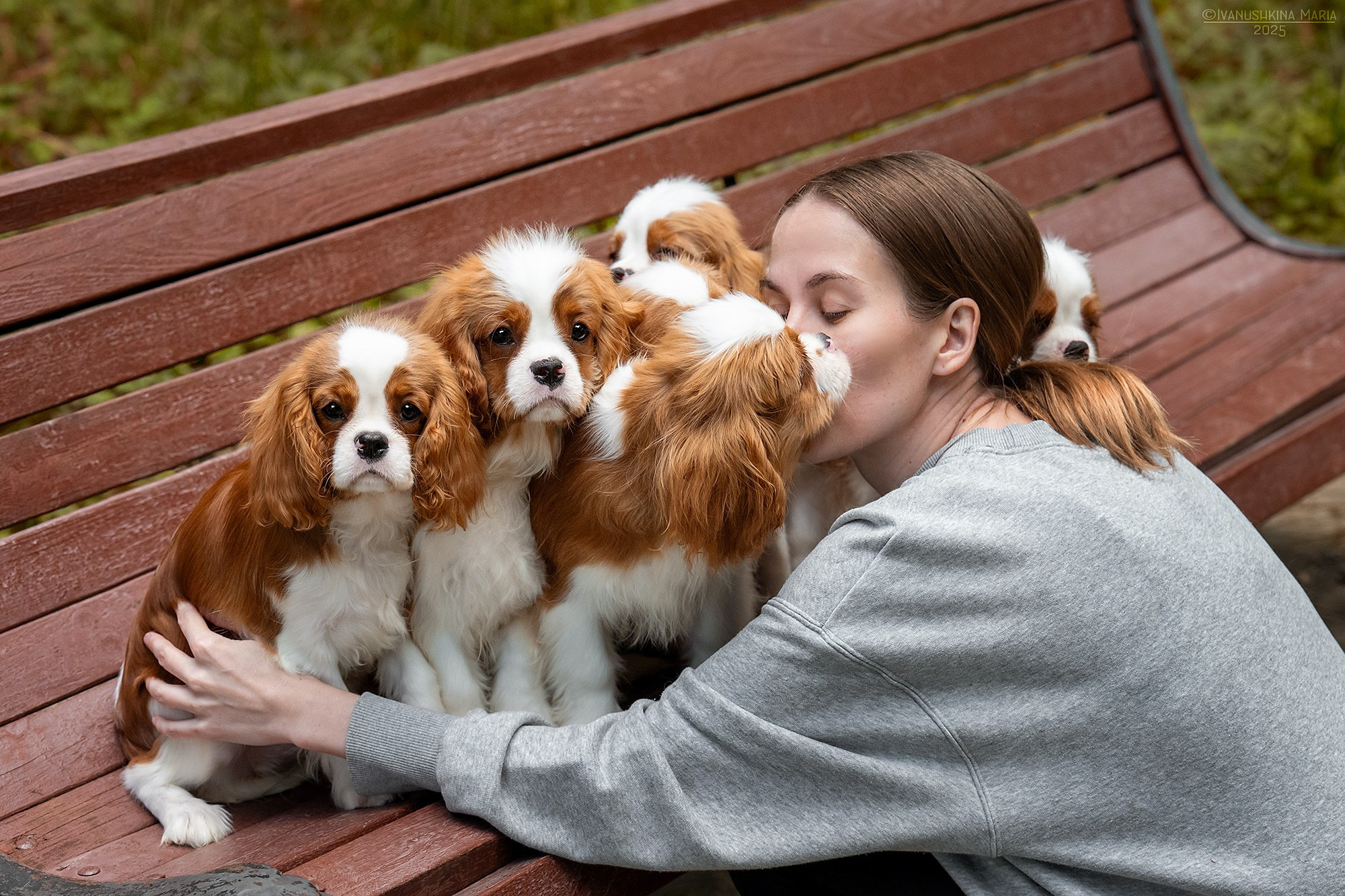 Фотосессия с собакой. Фотограф собак в Москве и Московской области Иванушкина Мария