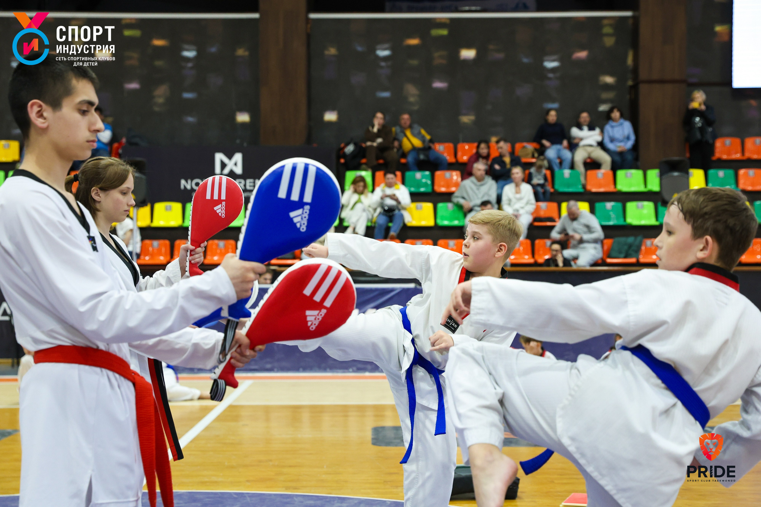 Аттестация по тхэквондо. Фотограф Дарья Попова